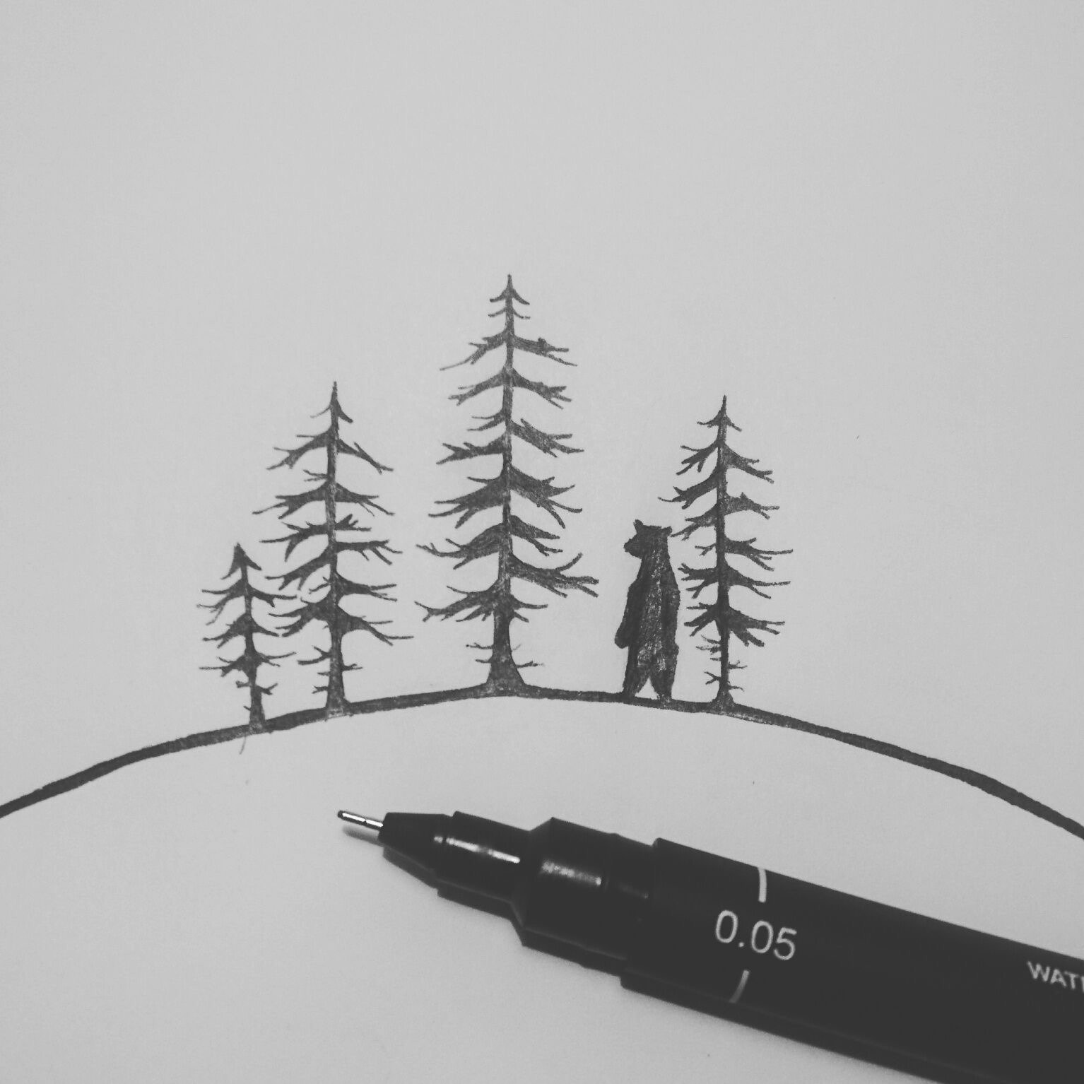 sketch