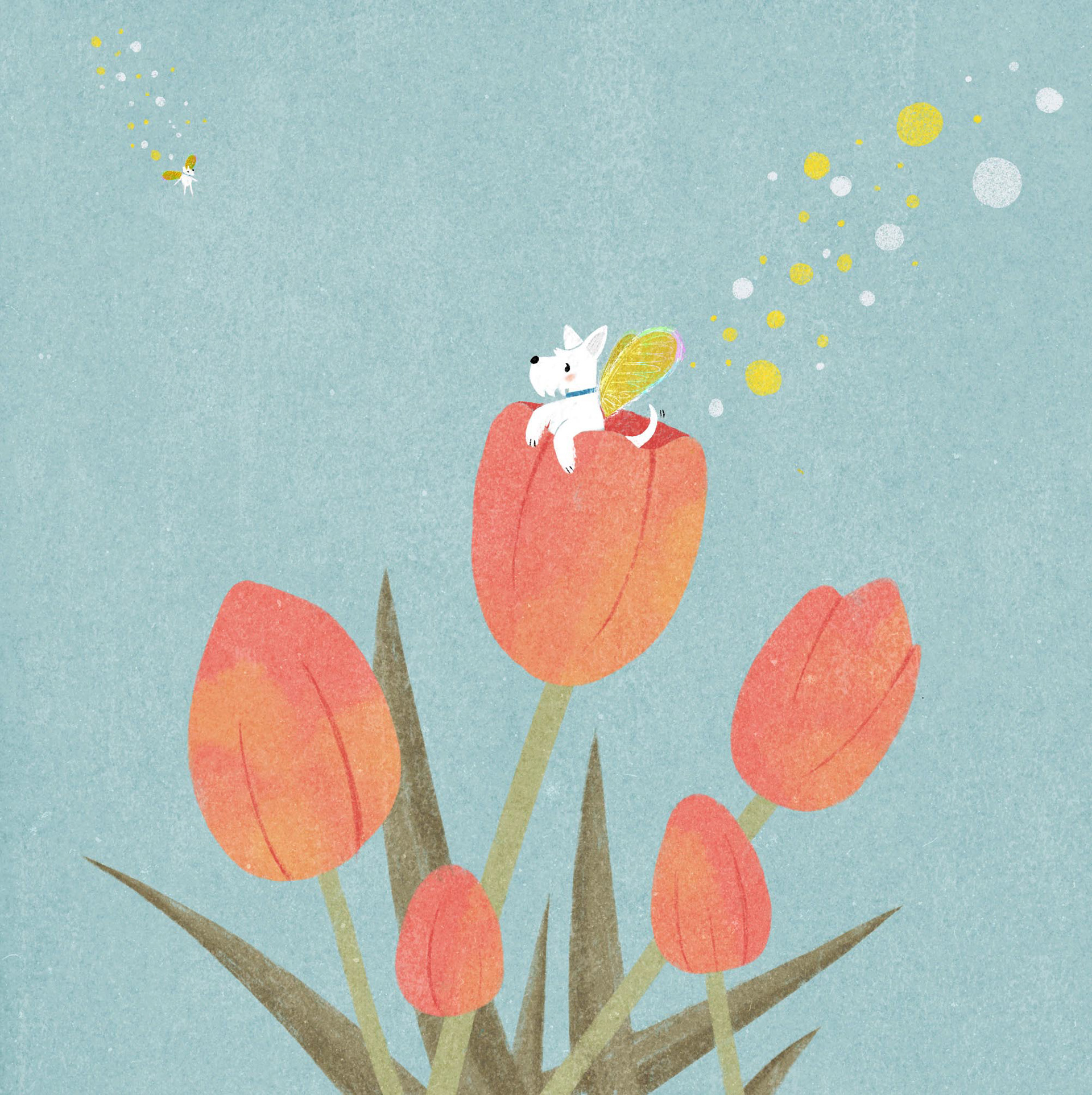 Tulip dog