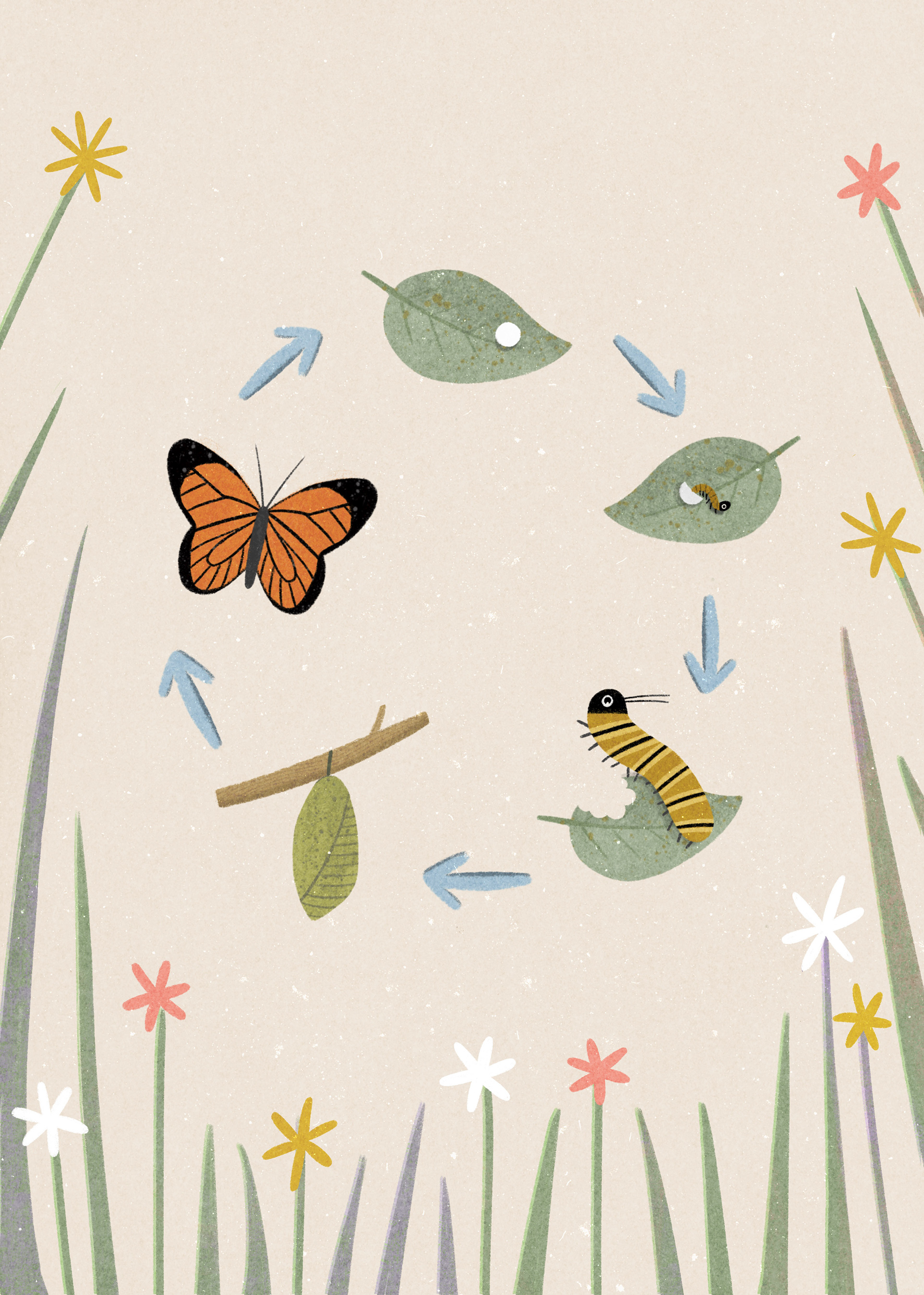 Art print design for the John Lewis pop up shop, 2021