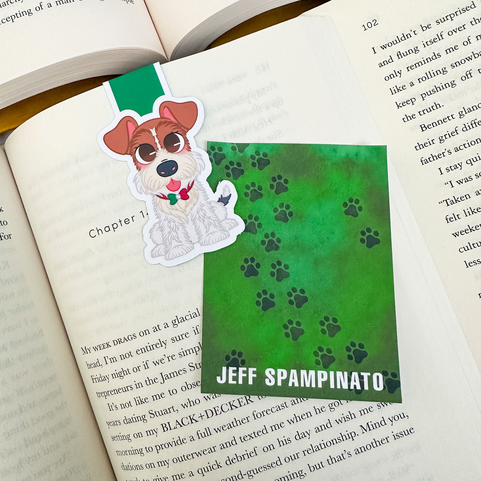 Jeff Spampinato