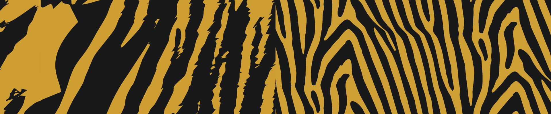 Centurion FC Pattern 2
