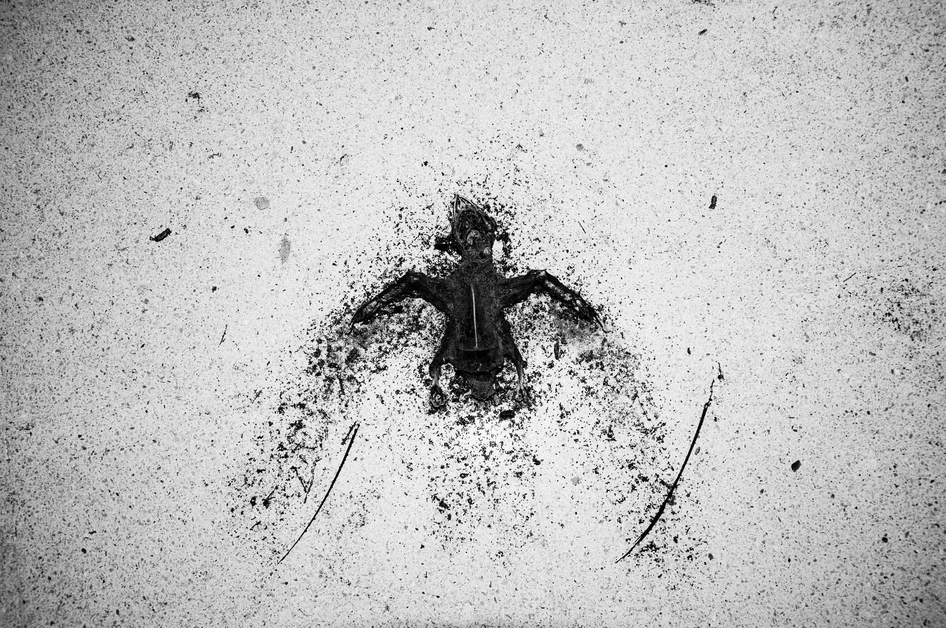 Noisy Days #3. A3+ Xerox Print