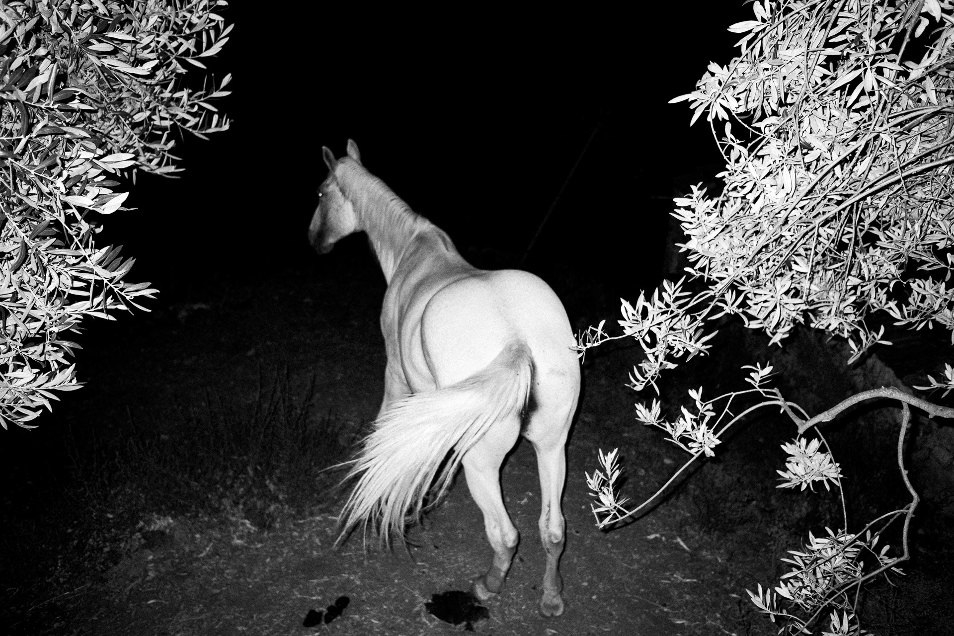 Noisy Days #12. A3+ Xerox Print