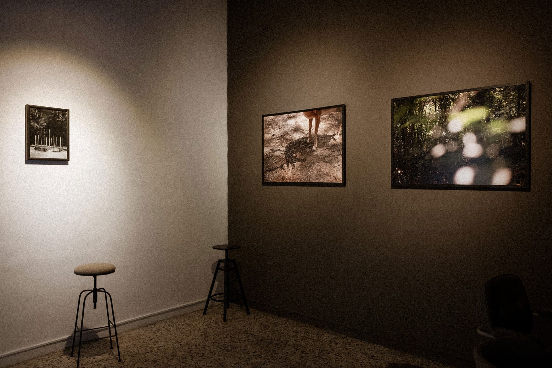 Installation view