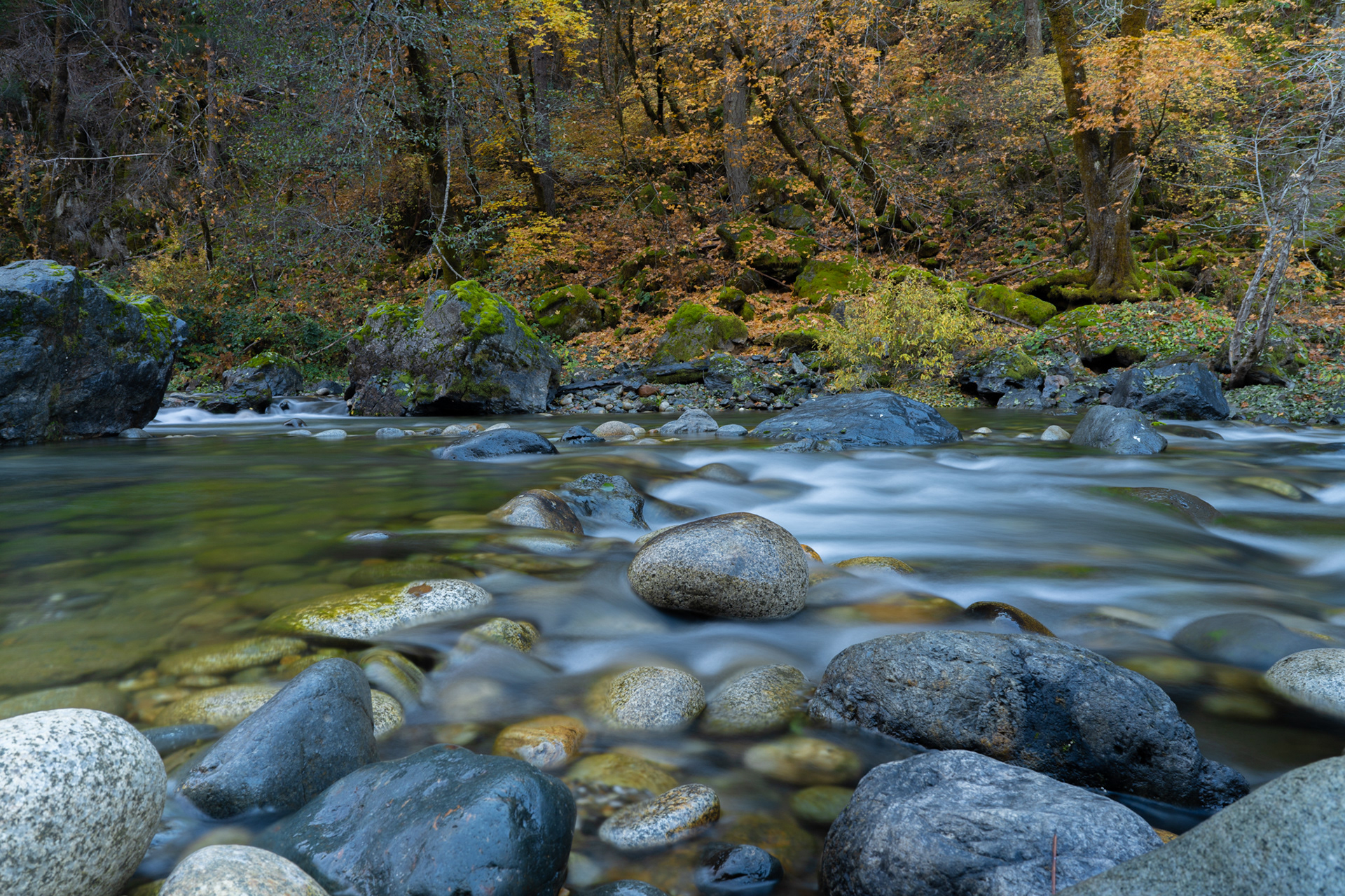 Yuba River, CA