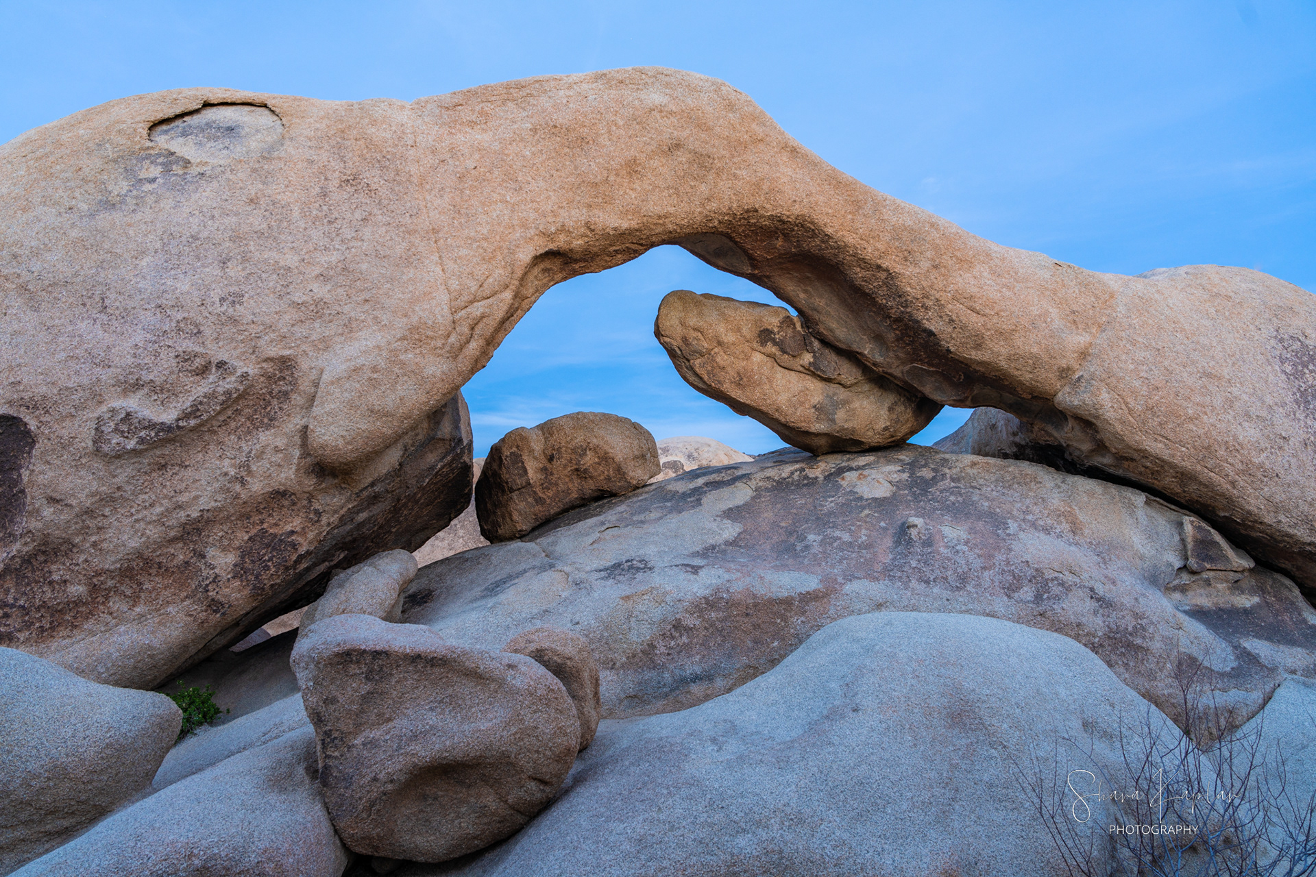 "Arch View" Joshua Tree