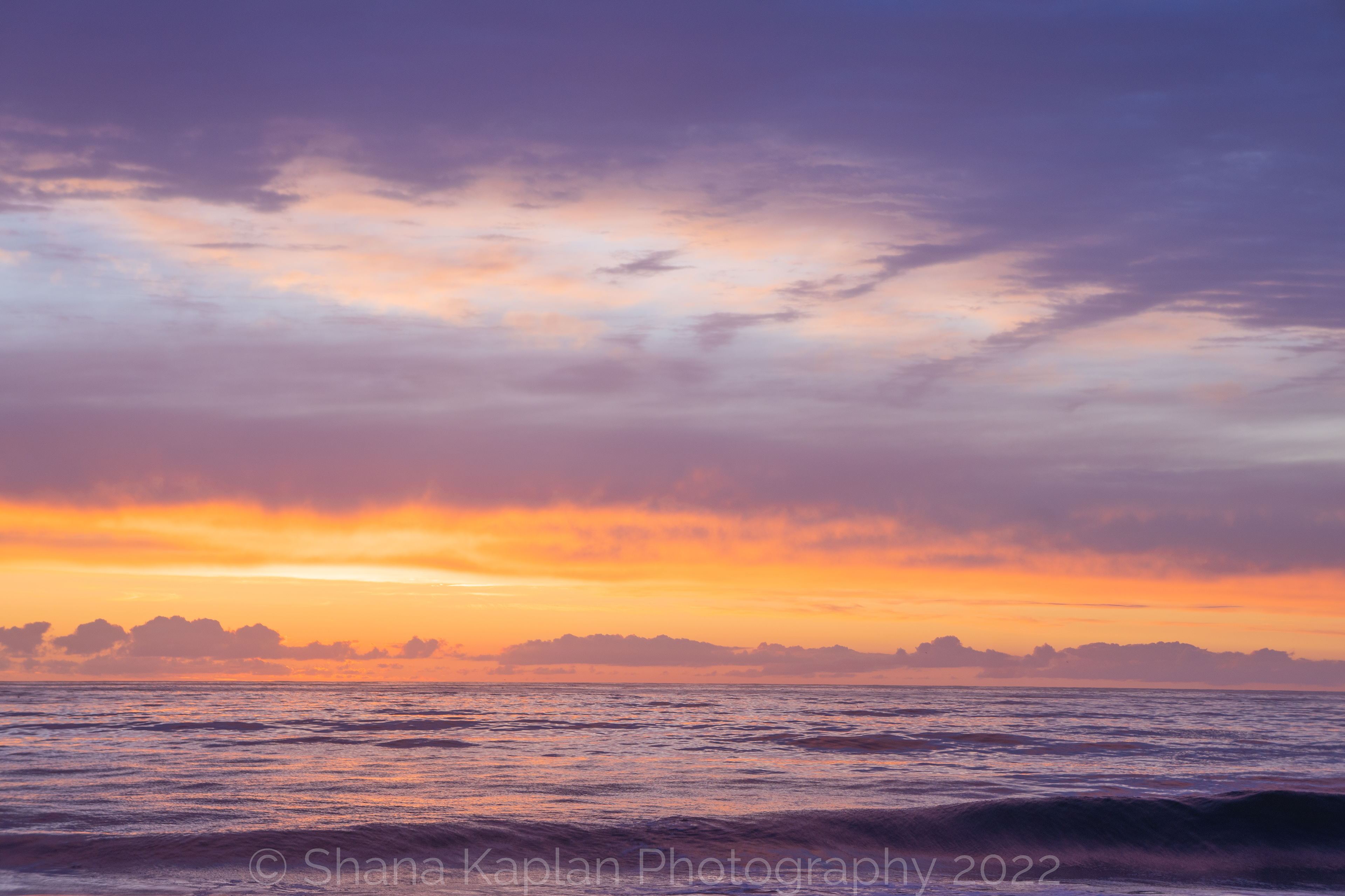 "Especially Happy", Agate Beach, CA
