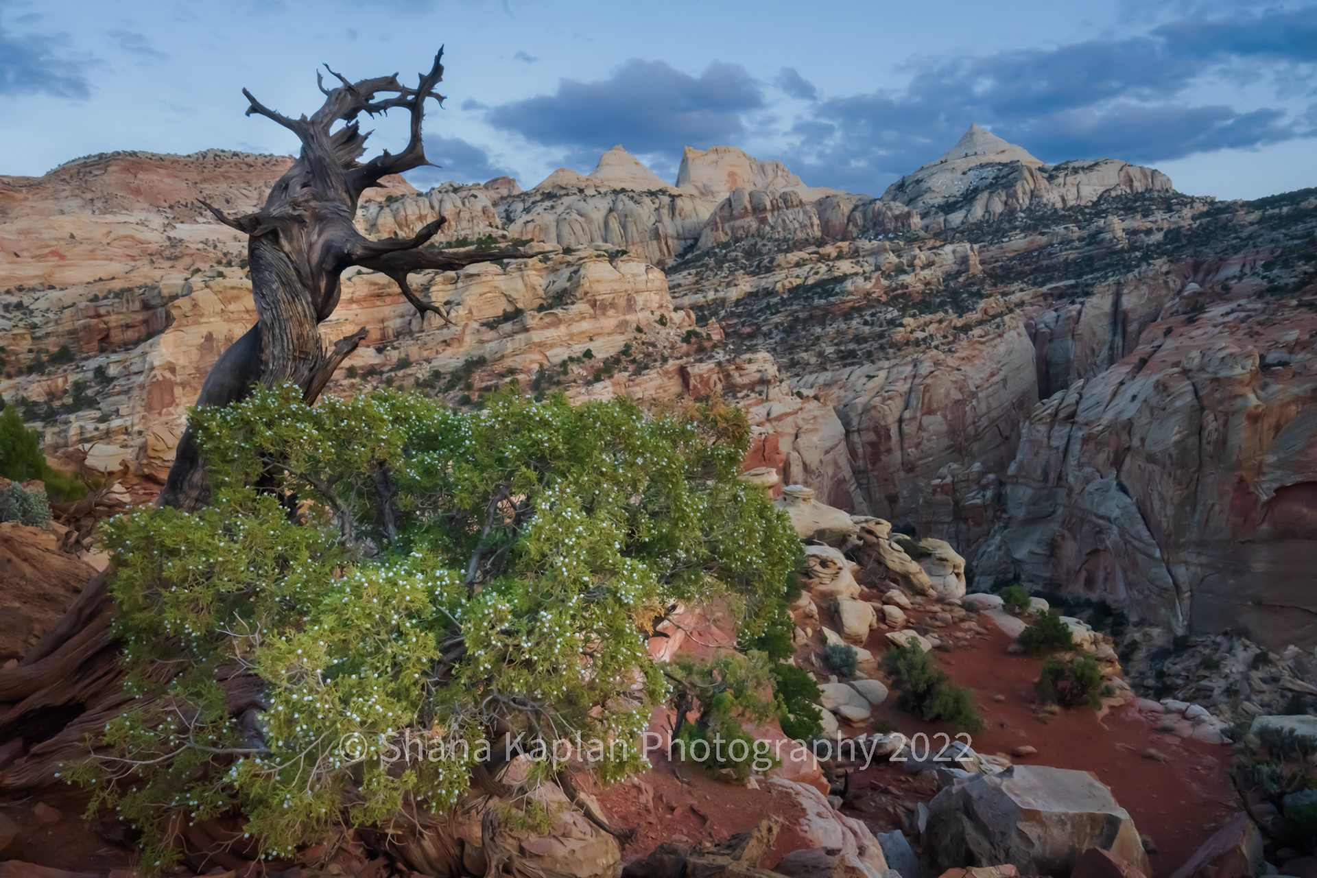 "God's Country" Capitol Reef NP