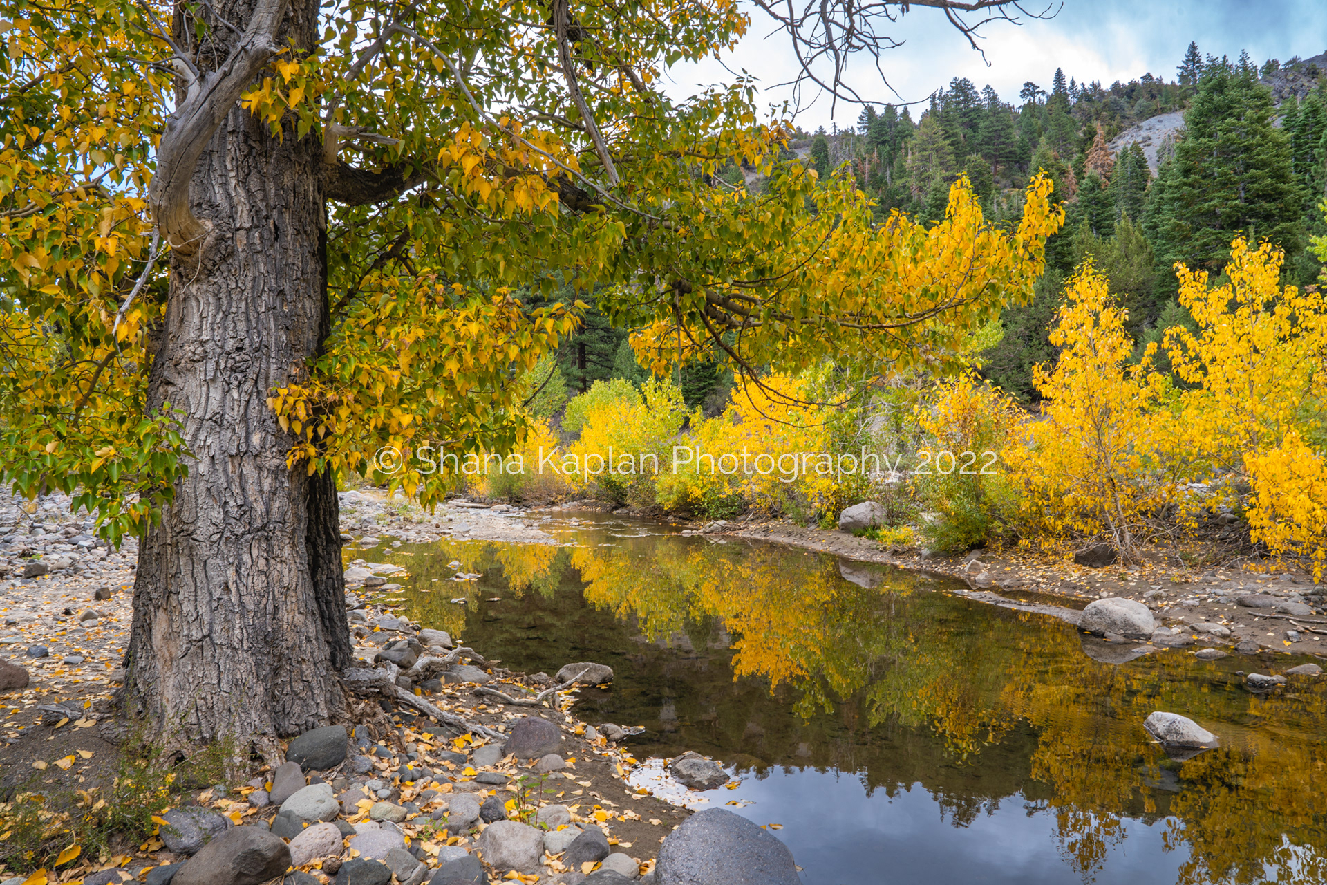 Silver Creek, CA