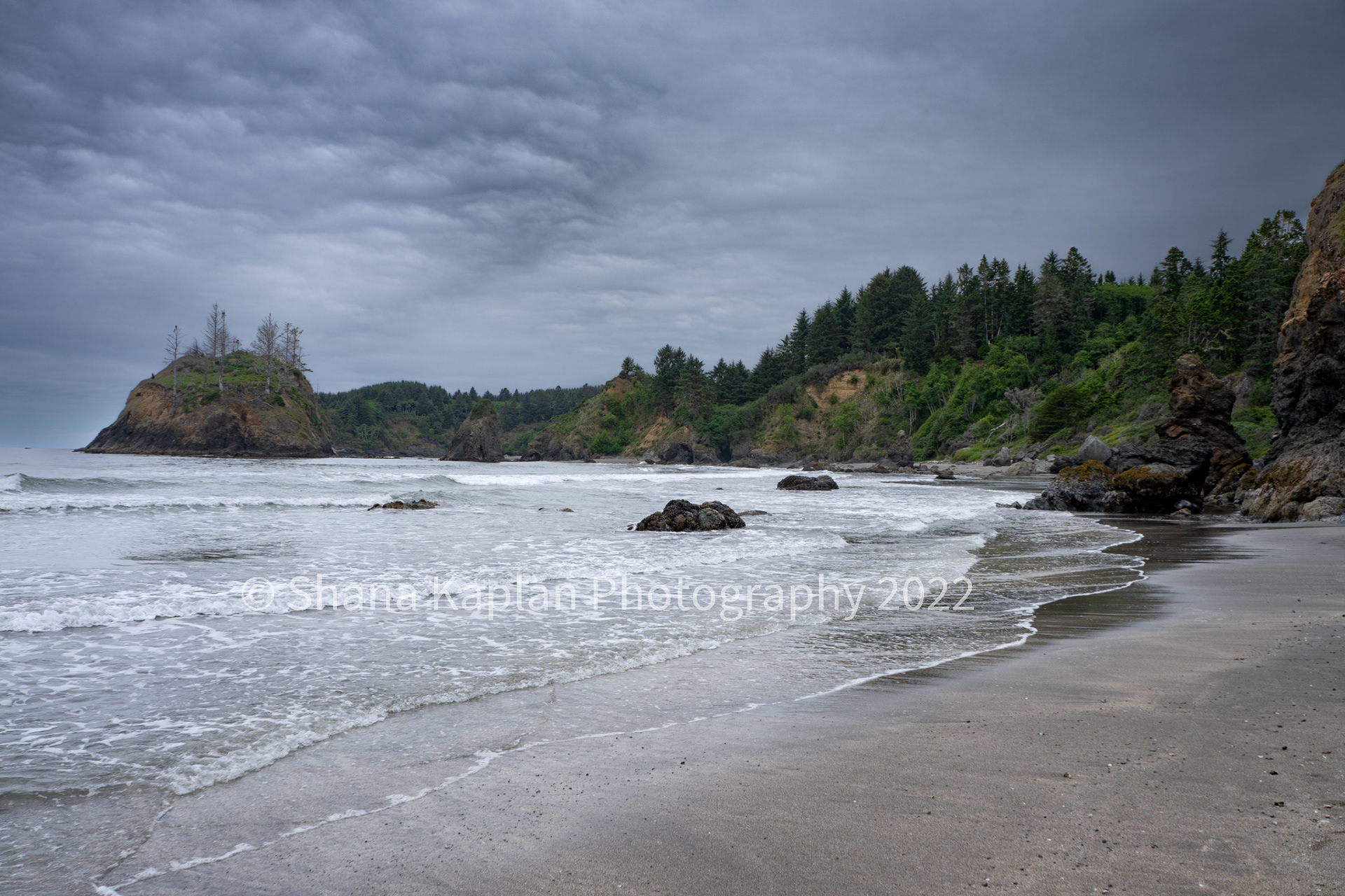 "Here Now" Trinidad, CA