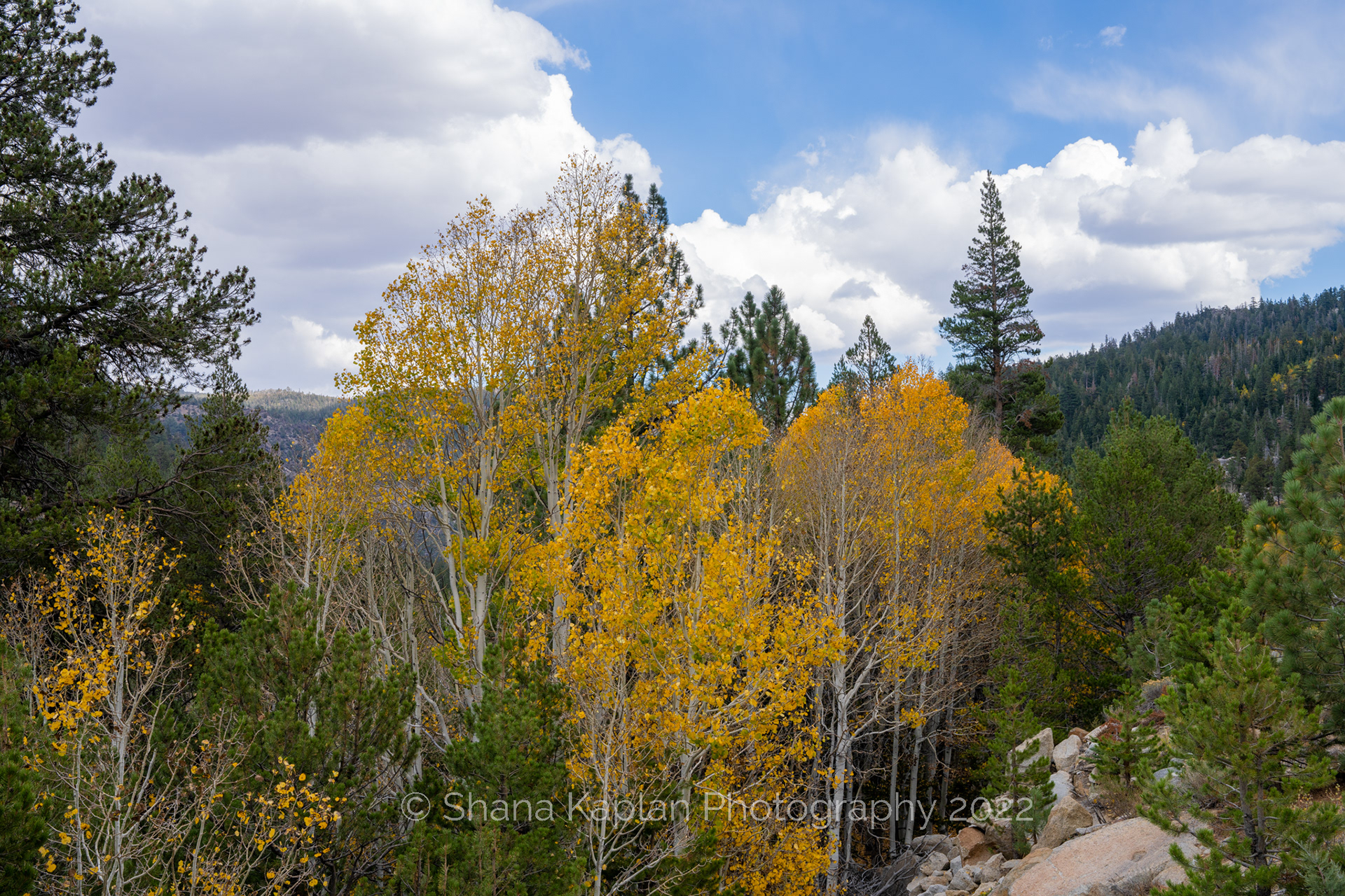 Hope Valley, CA West Fork Carson River
