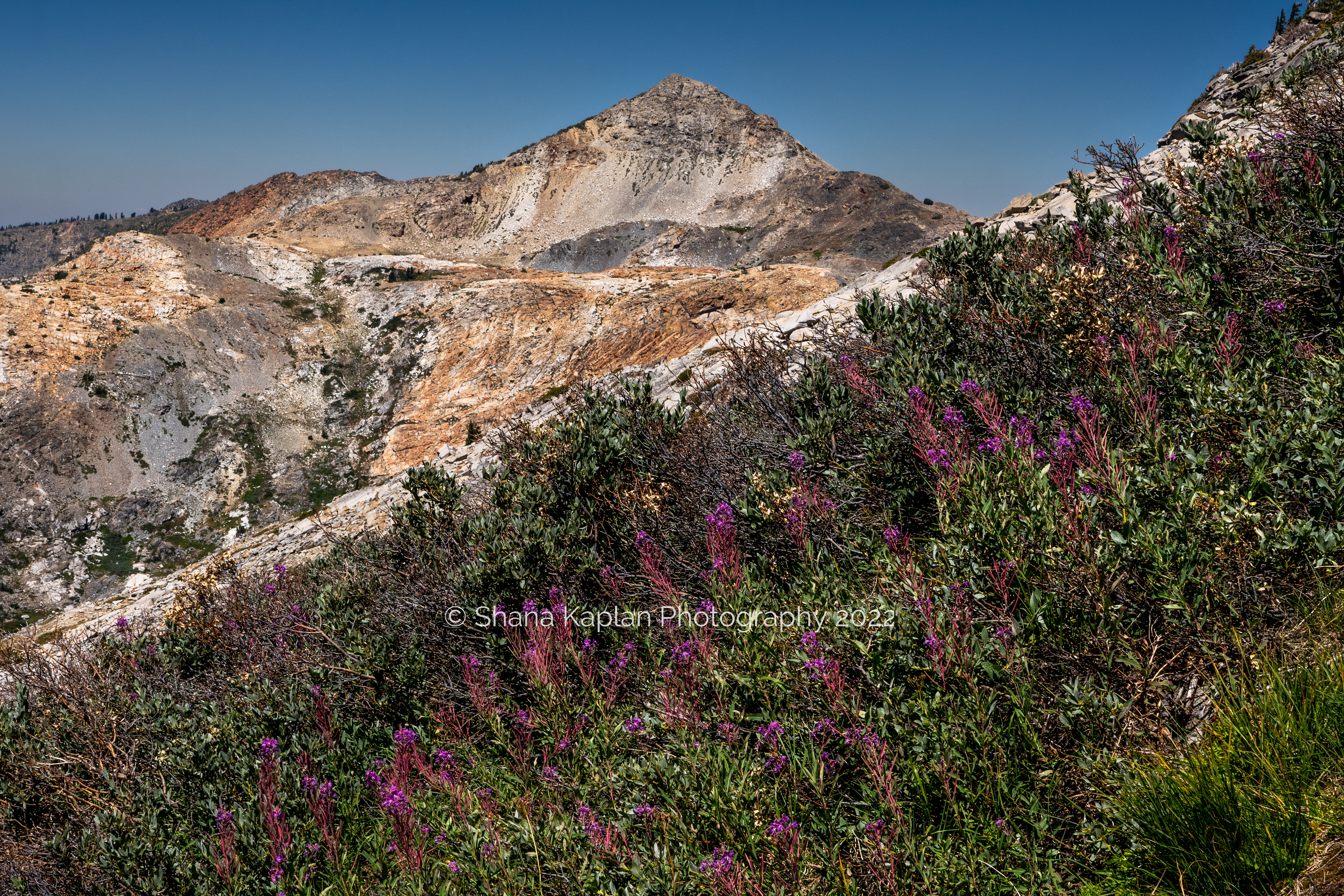 "All to Myself" - Desolation Wilderness, CA