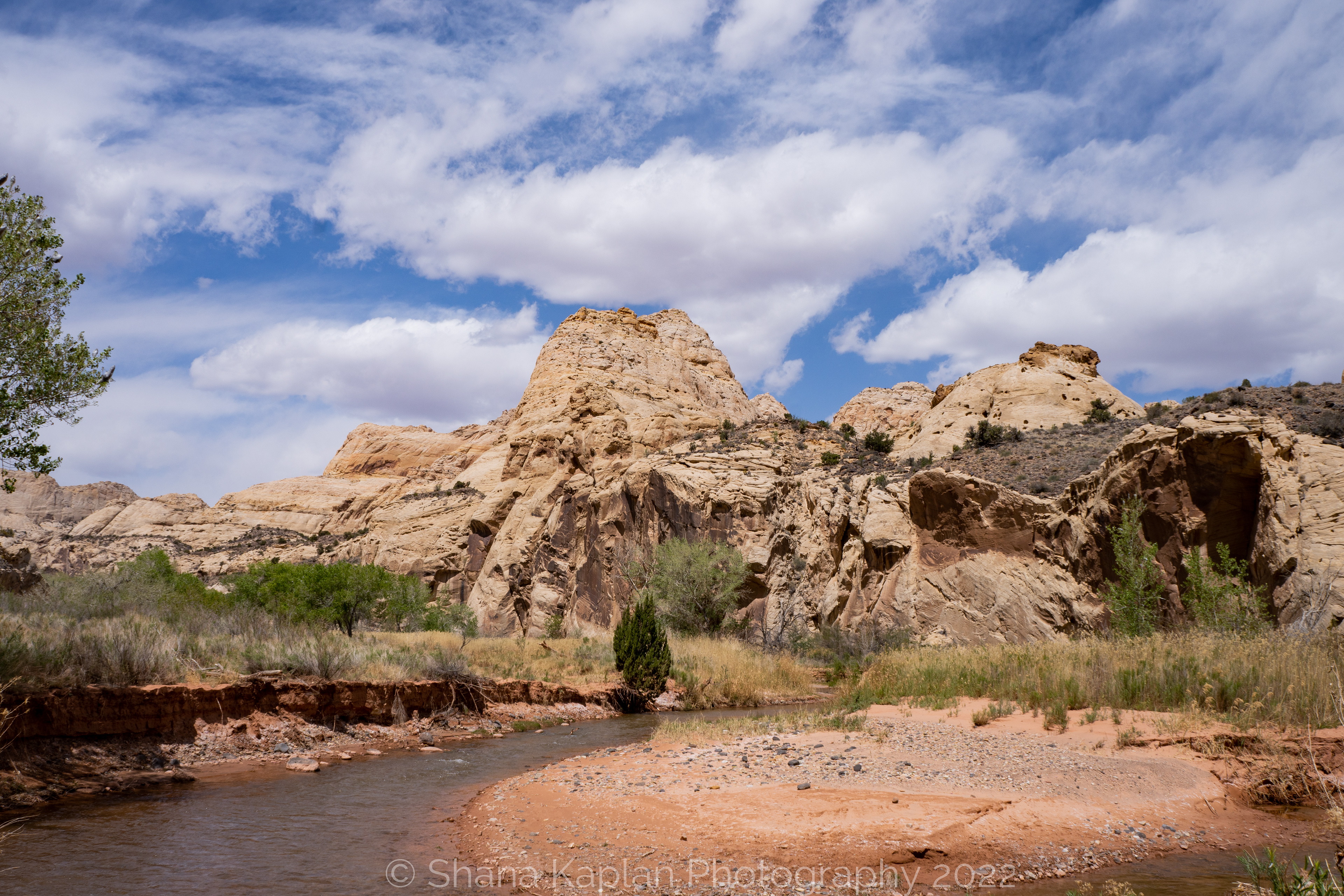 "Desert Oasis" - Freemont River, Capitol Reef NP