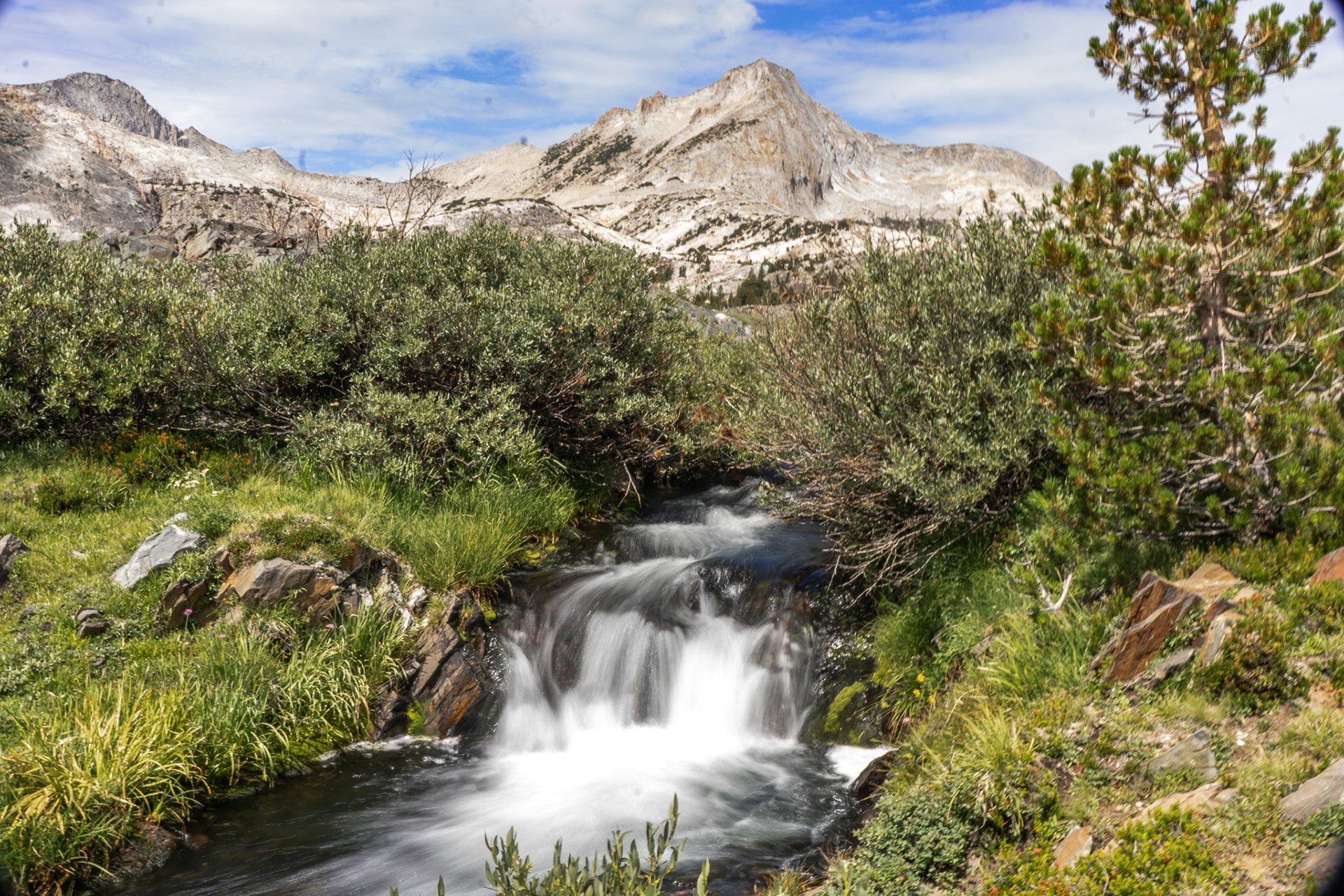 "The Secret to Life is Now" - Saddlebag Lake Trail, CA