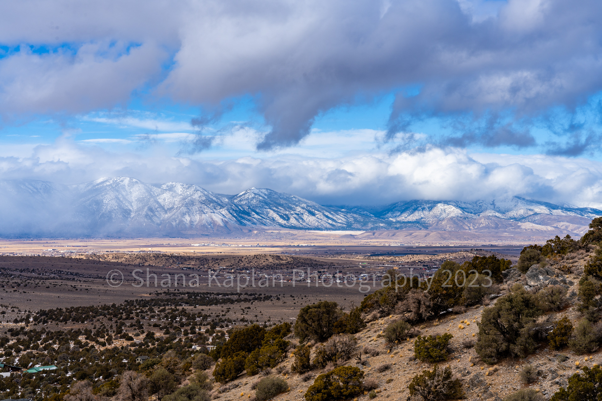 "Roll with It" Carson Valley, NV