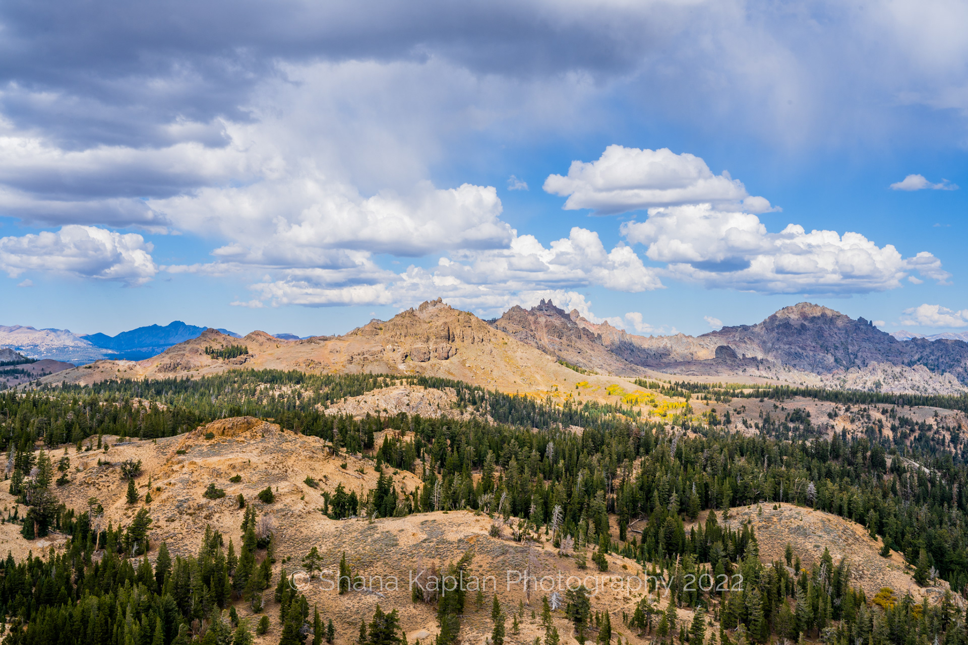 "Dreams", Ebbetts Pass, CA