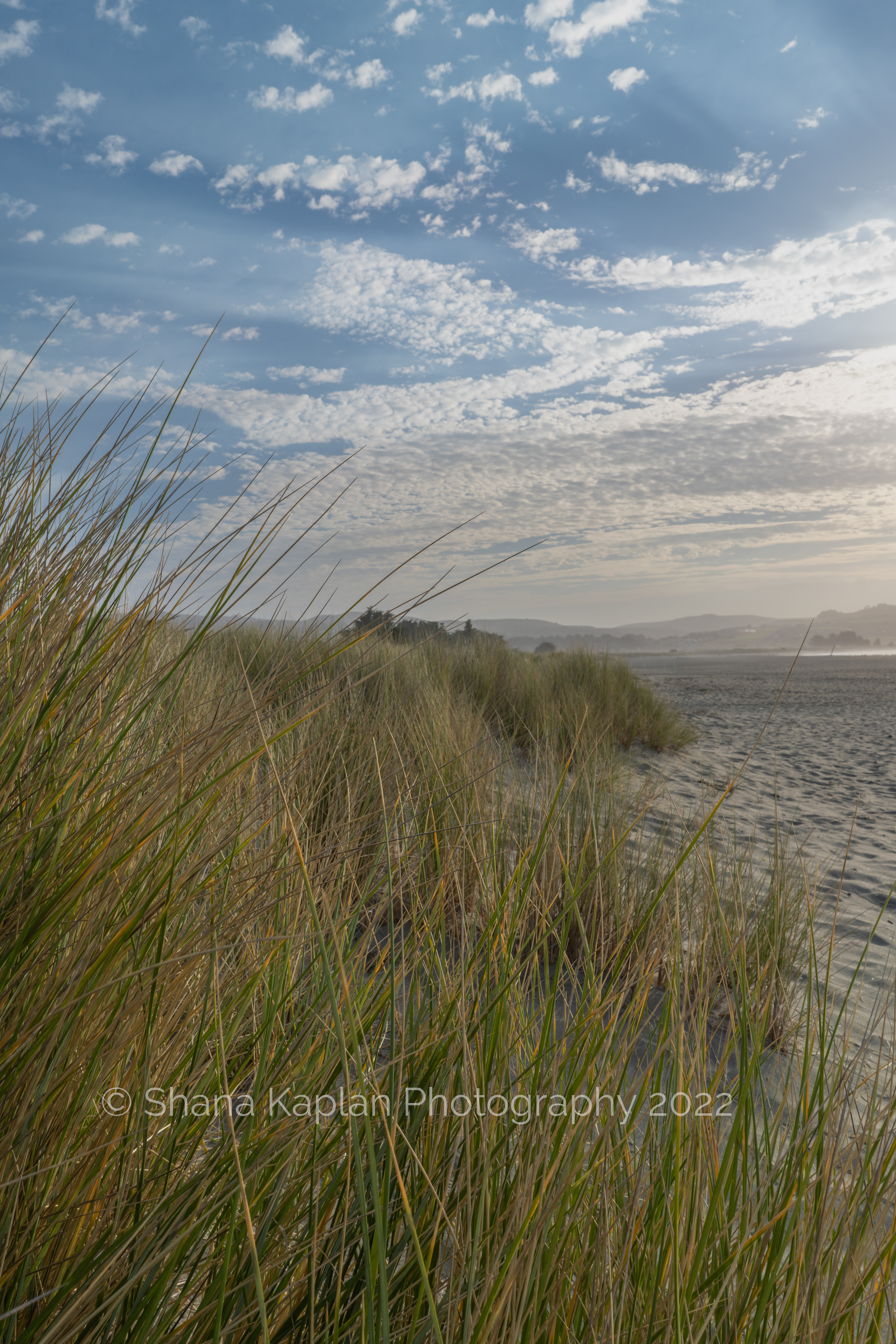"Fragments of a Dream"- Doran Beach, CA