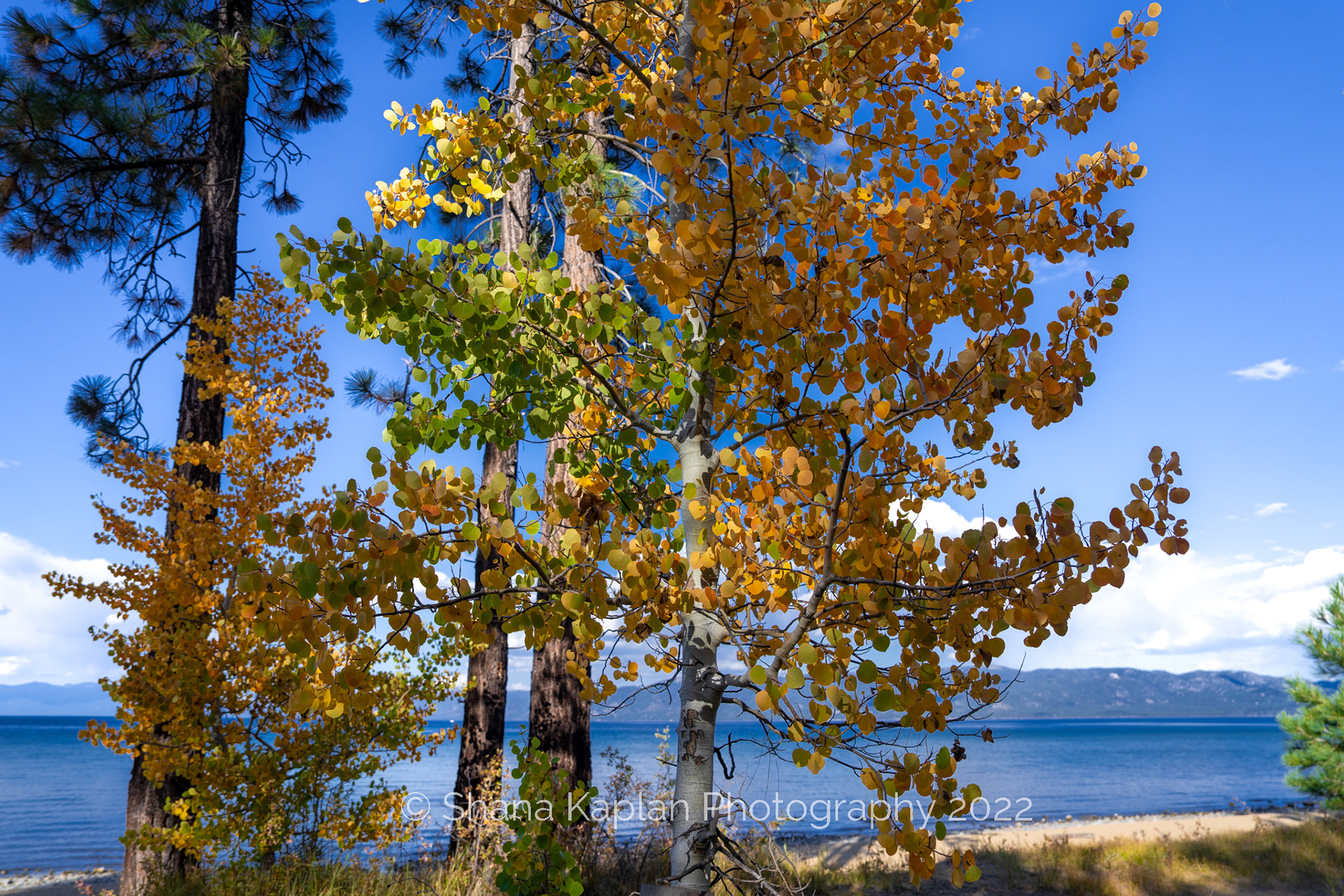 Lake Tahoe, CA