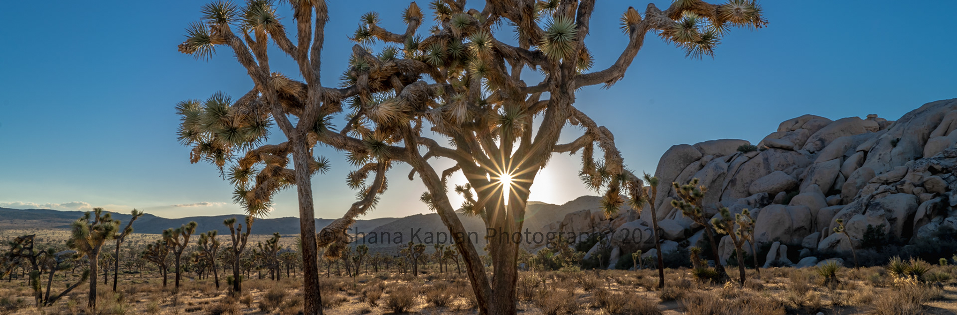 "Fragile" Joshua Tree National Park, CA