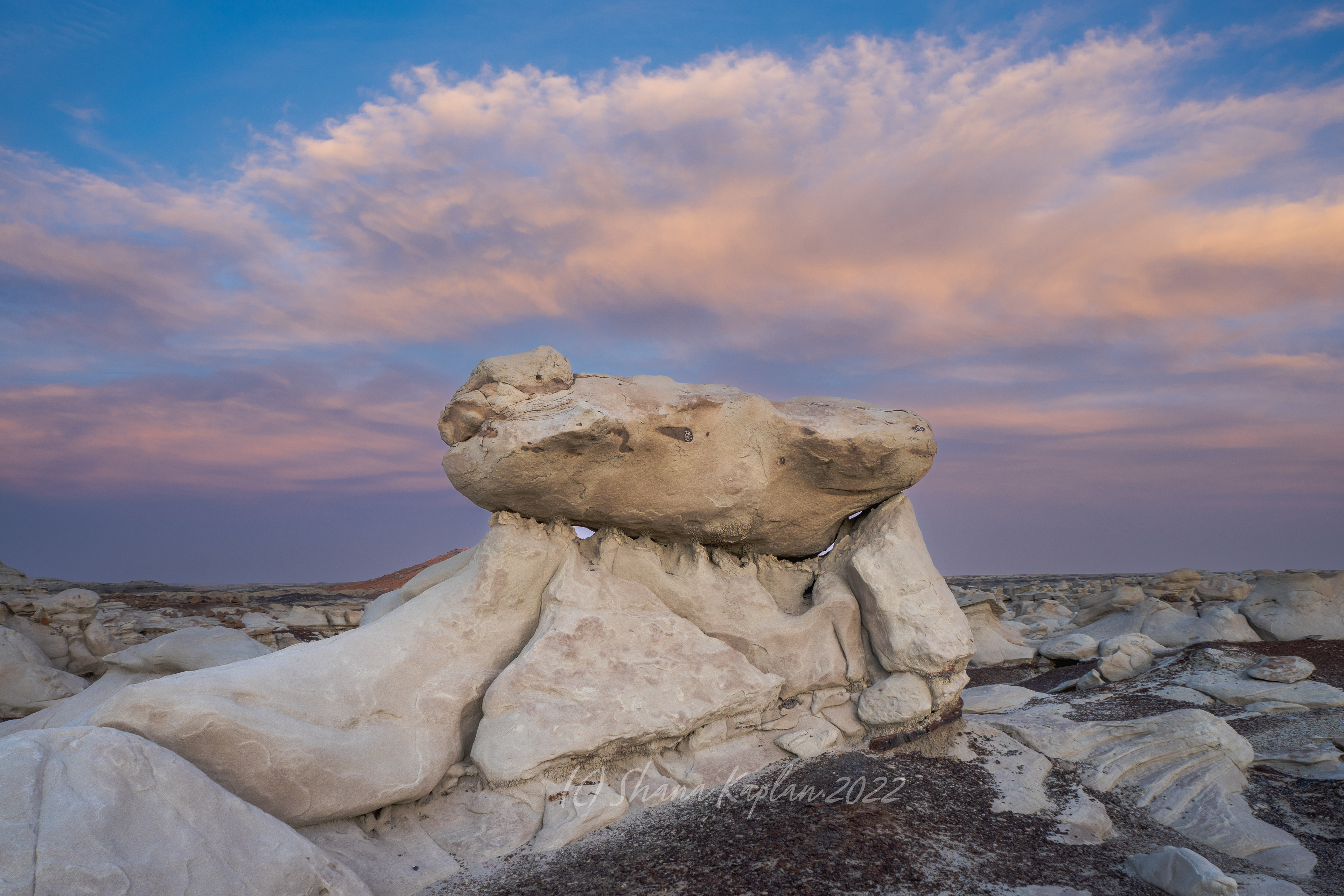 "Ancient Rock" Bisti, NM