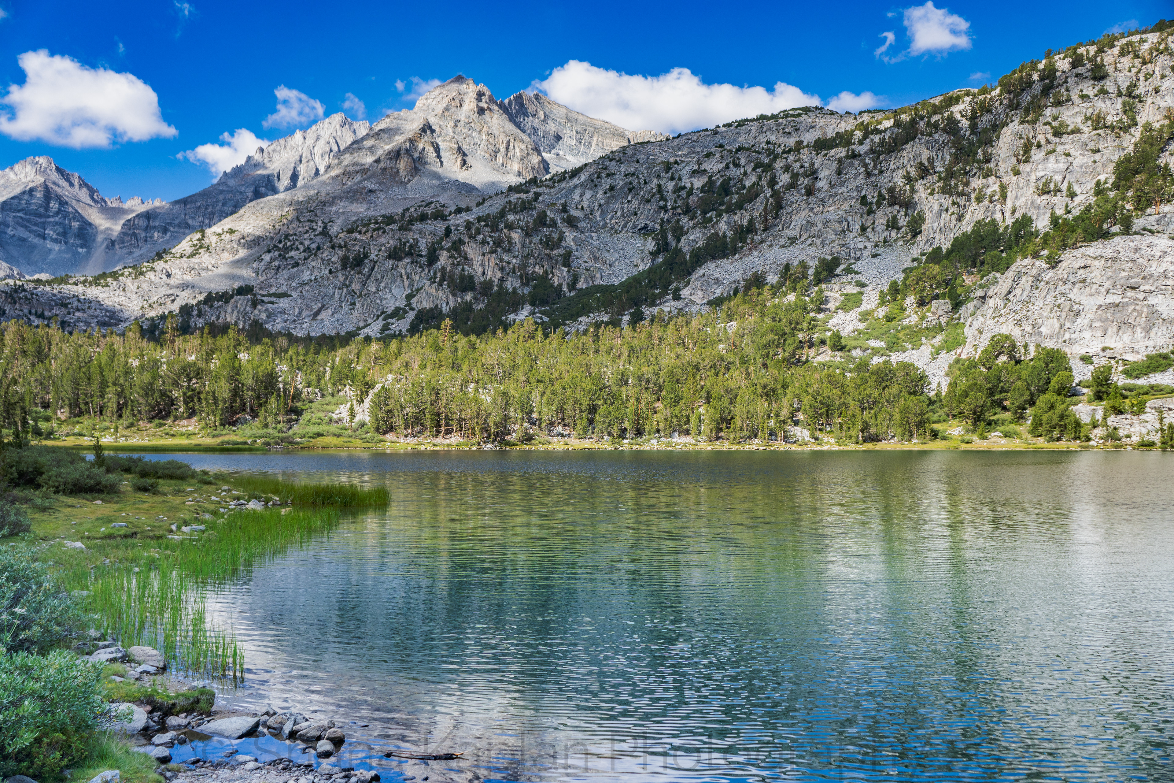 "Wilderness Calls" -