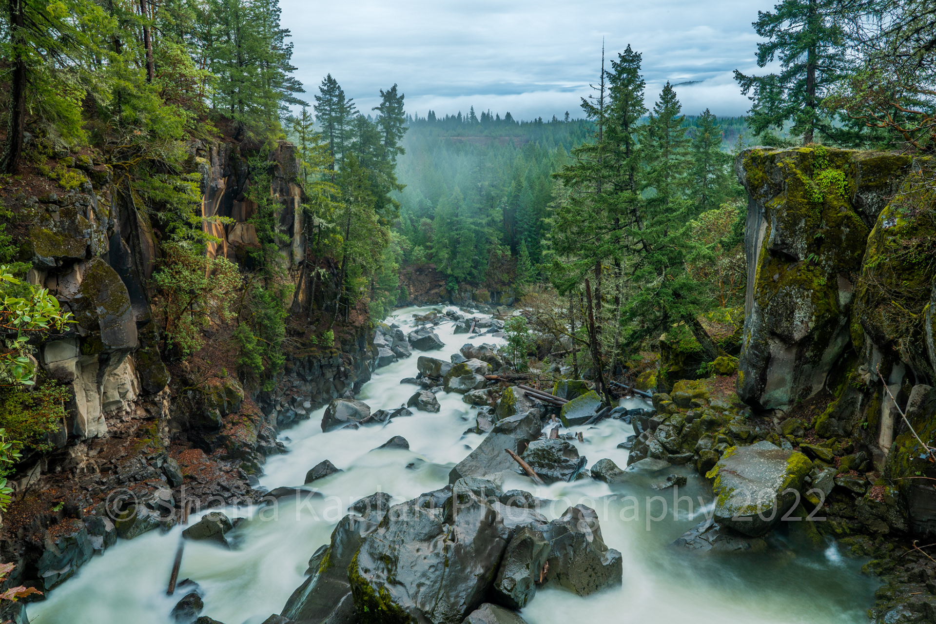 "Wild and Scenic", Rogue River, OR
