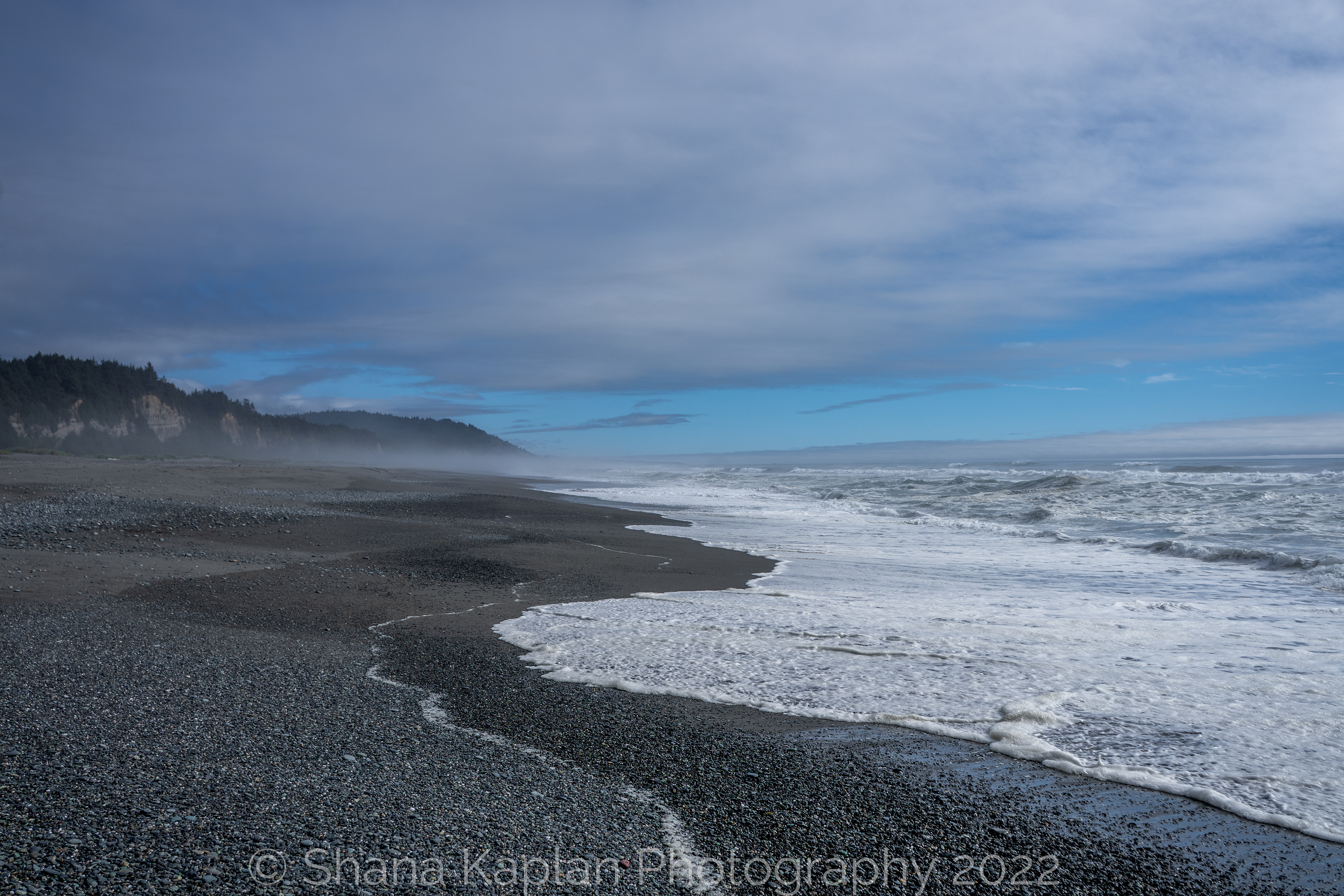 "Black and Blue" - Gold Bluff Beach, CA