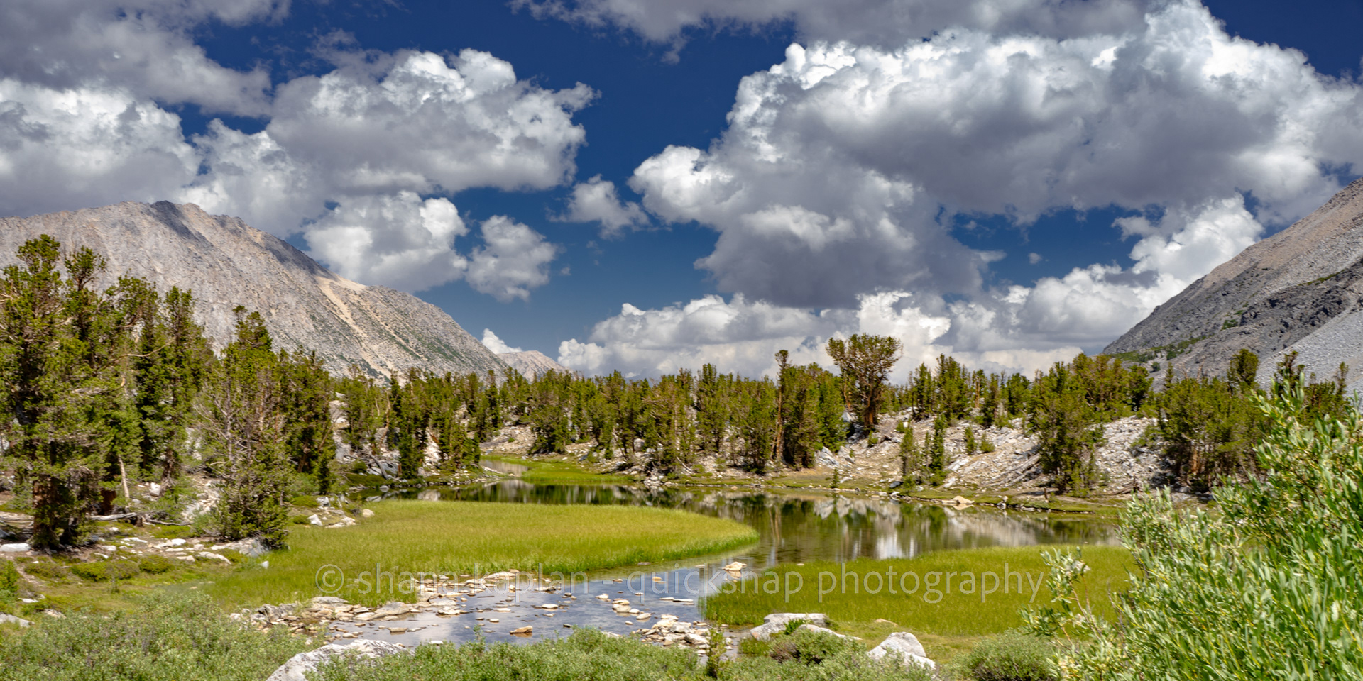 "Higher" Ruby Mountains, NV
