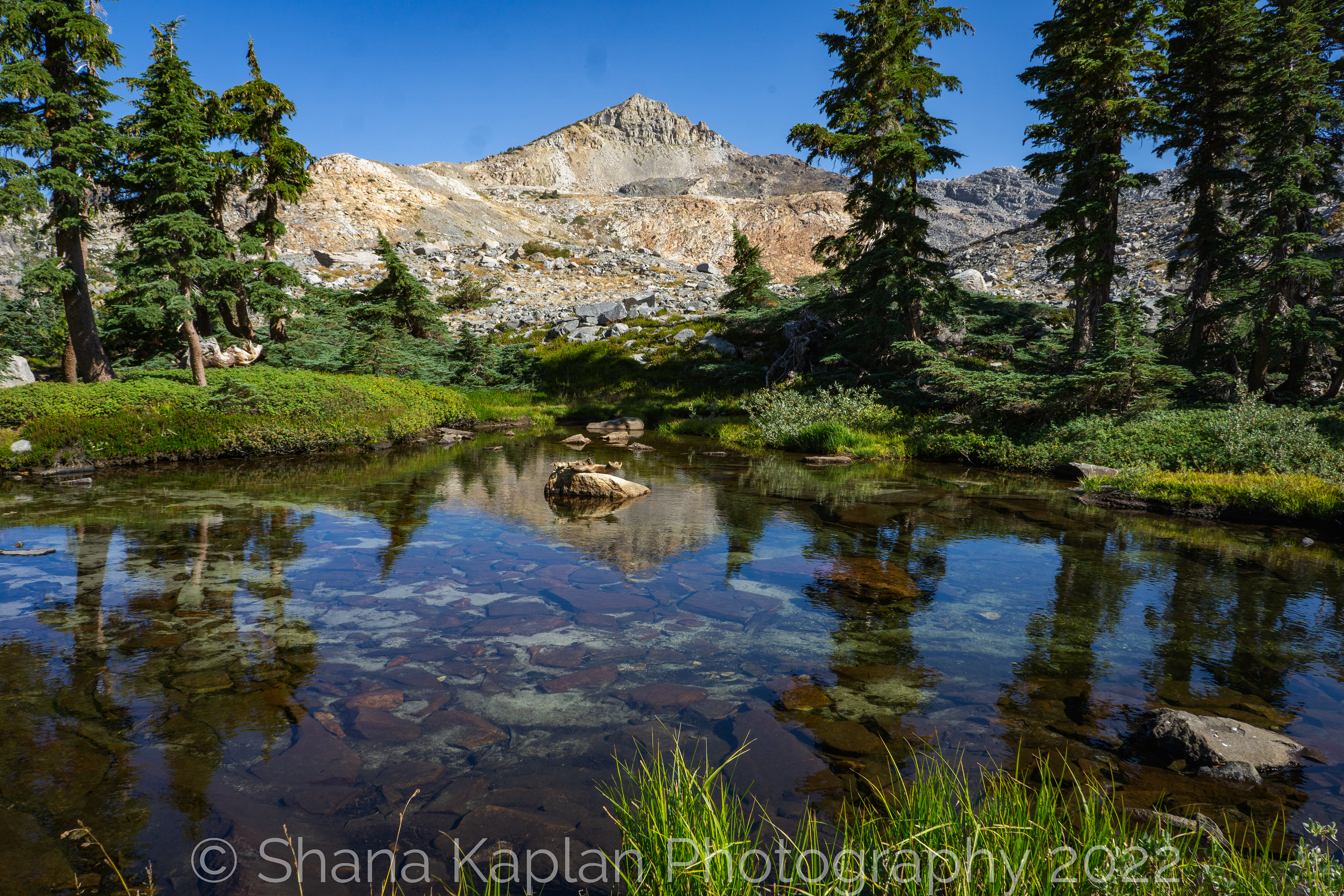"Mirror, Mirror" - Desolation Wilderness, CA