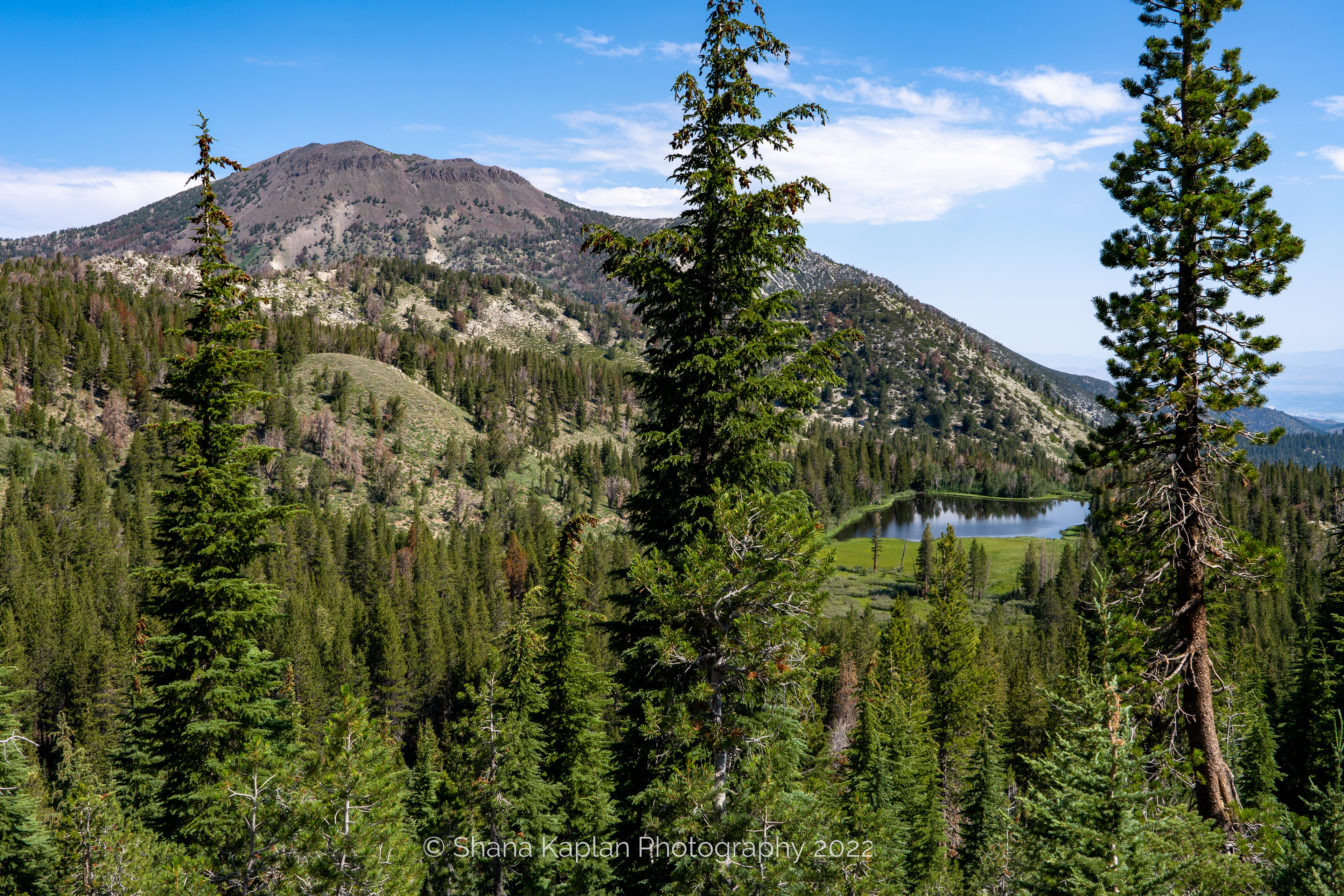 "Gateway to the Soul"- Mt. Rose w/ Tamarack Lake, NV