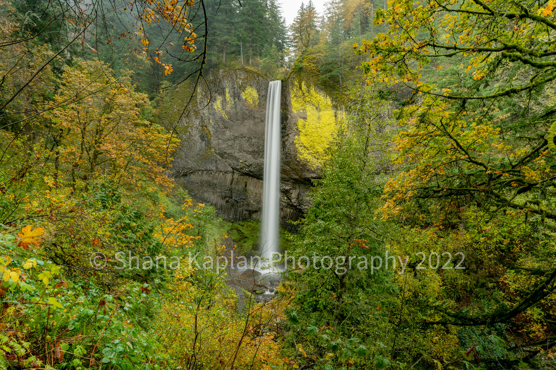 "Awe of Nature" Columbia River Gorge, OR
