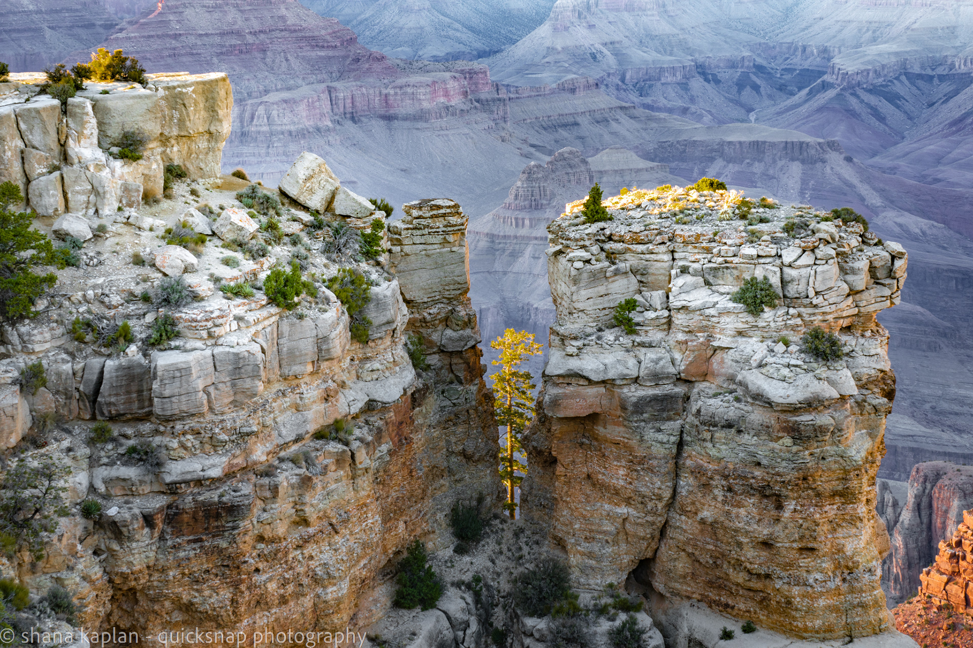 "Nature's Way" Grand Canyon, AZ