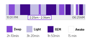 REM Sleep