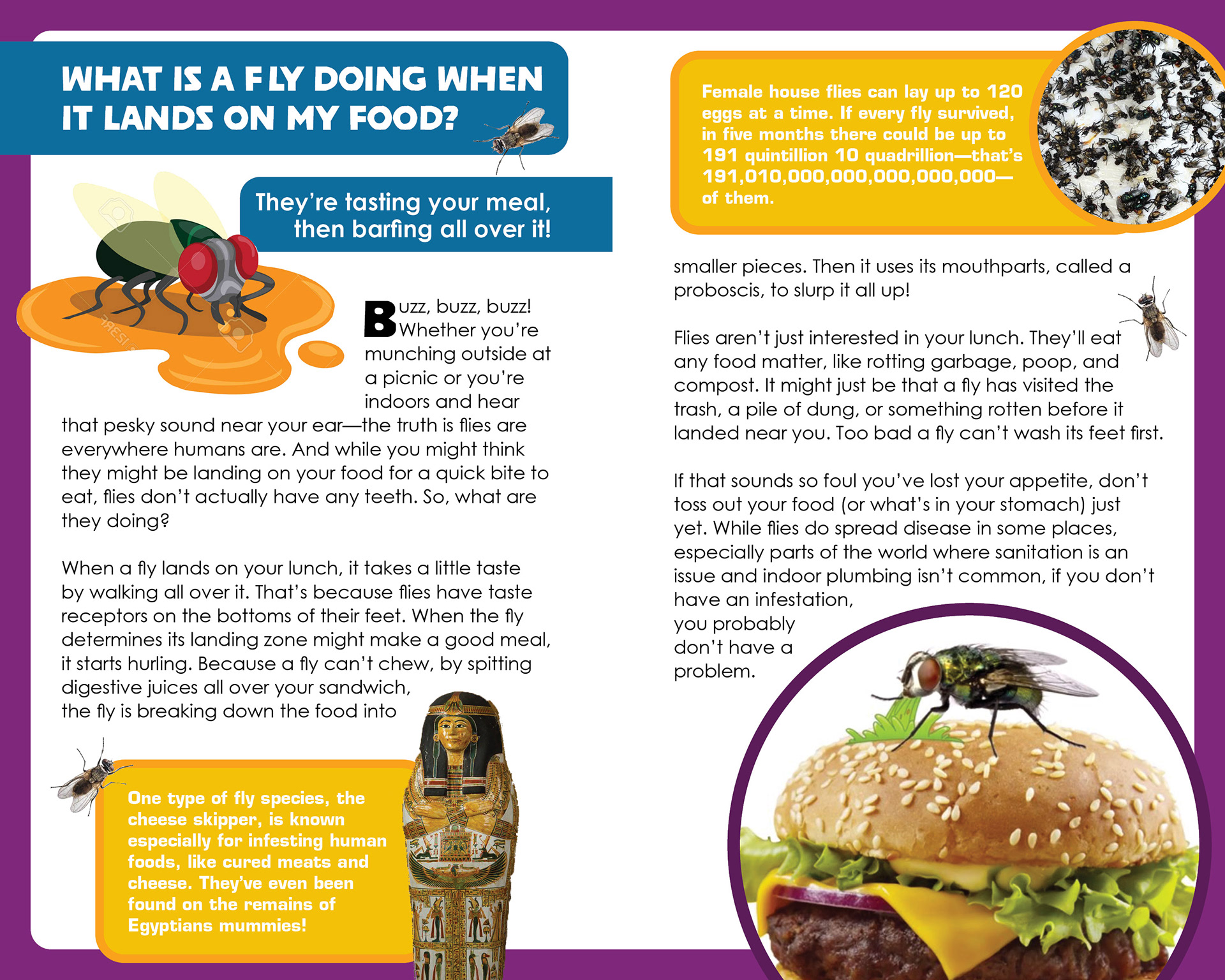 Do You REALLY Wanna Know?