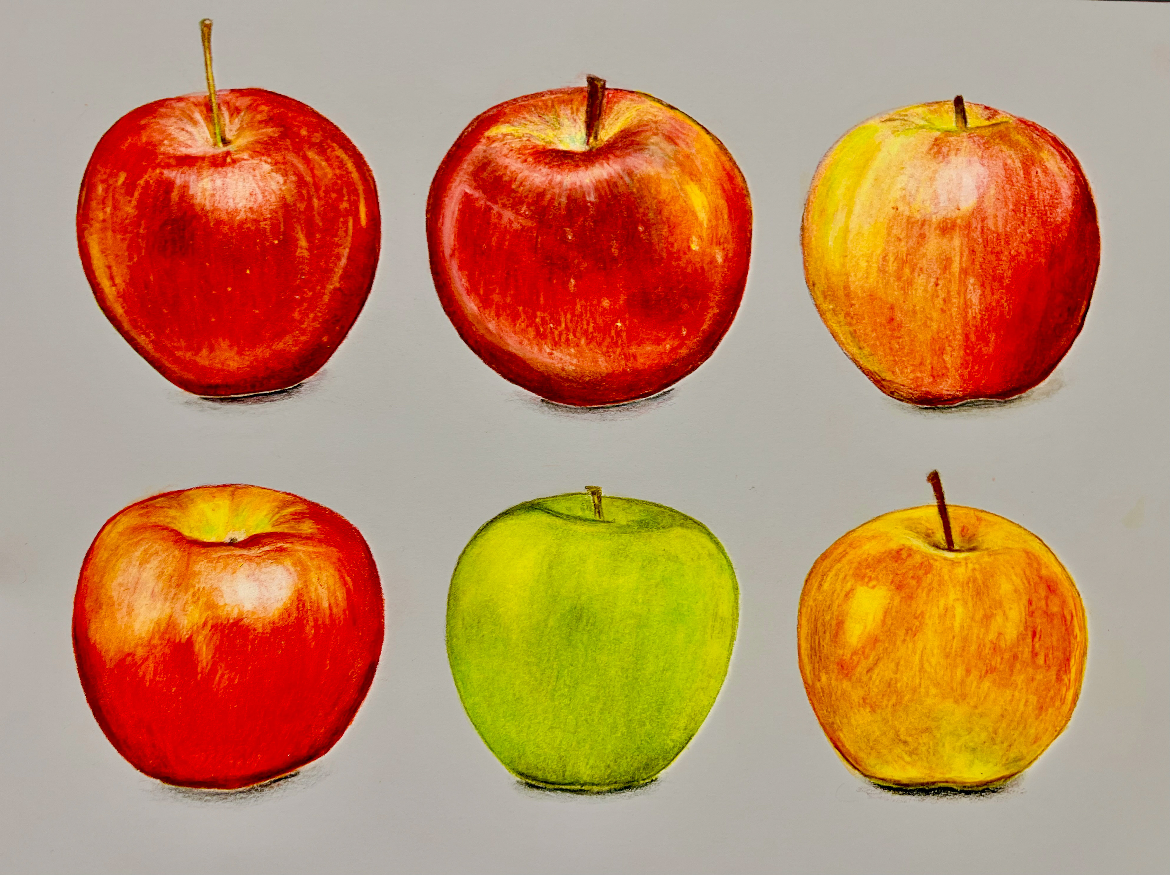 Color Pencil Art by me