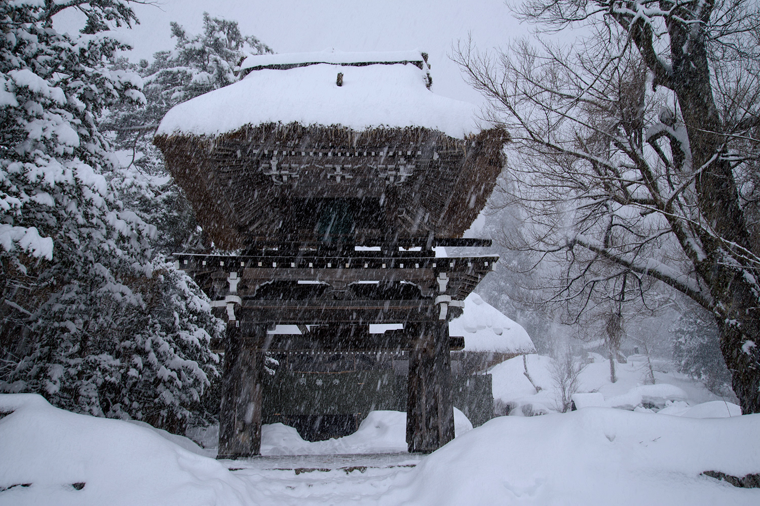 ALPES JAPONAISES