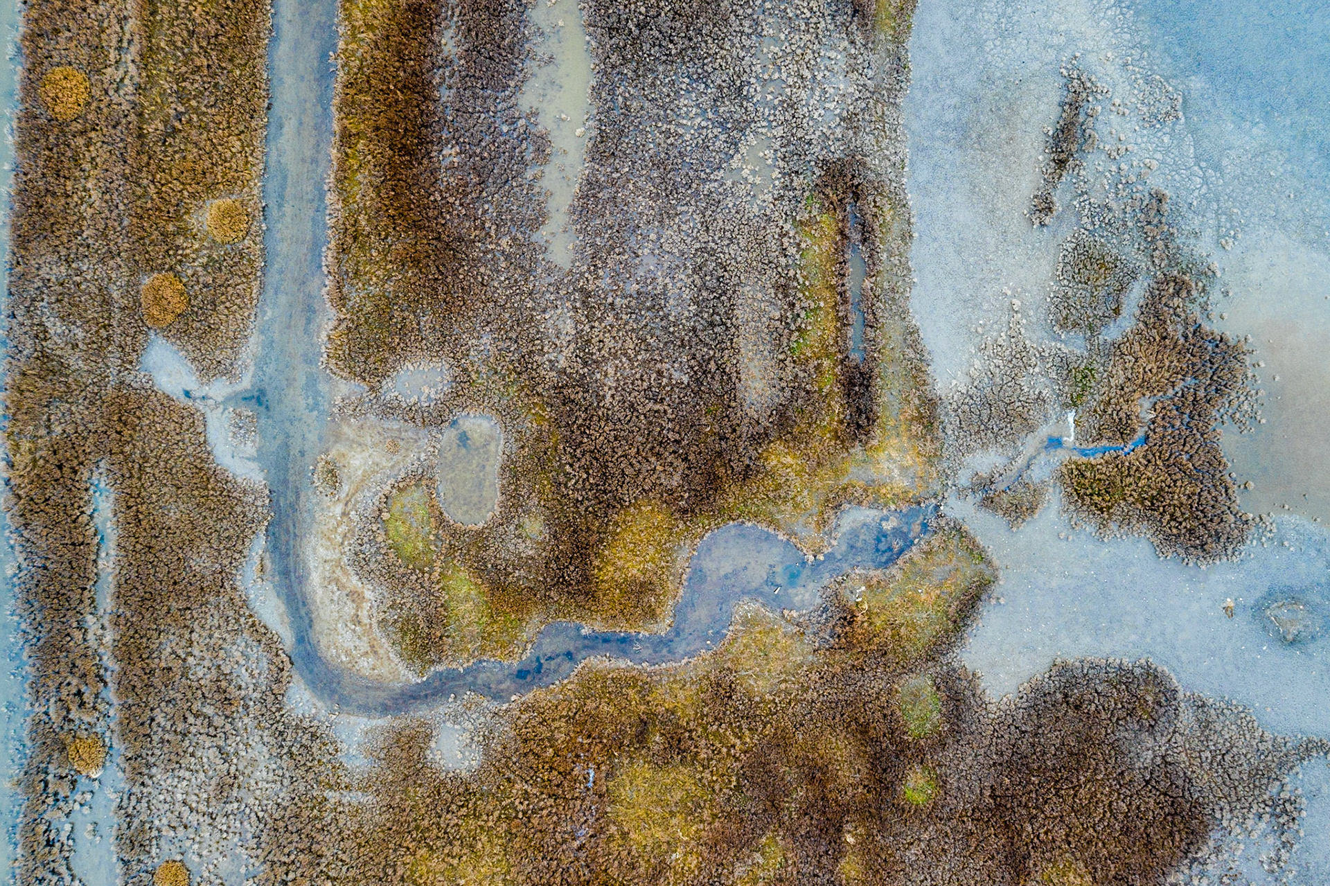 Salt marsh
