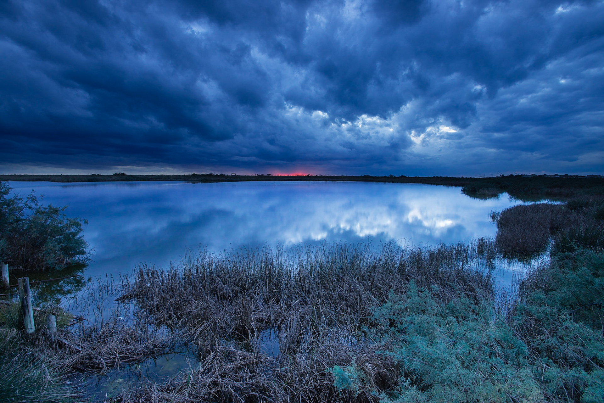 Sunset on the wetland