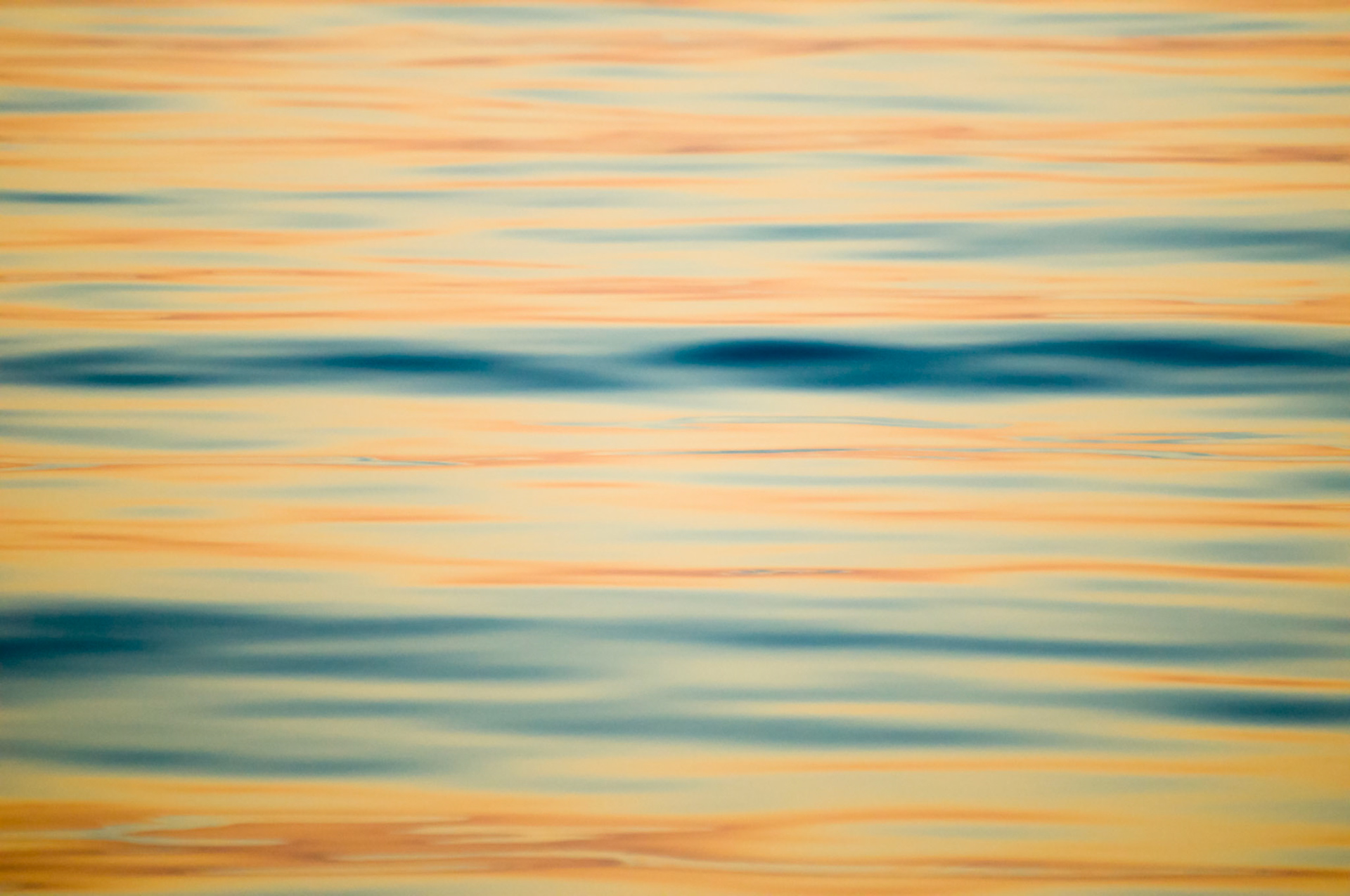 Golden sea surface