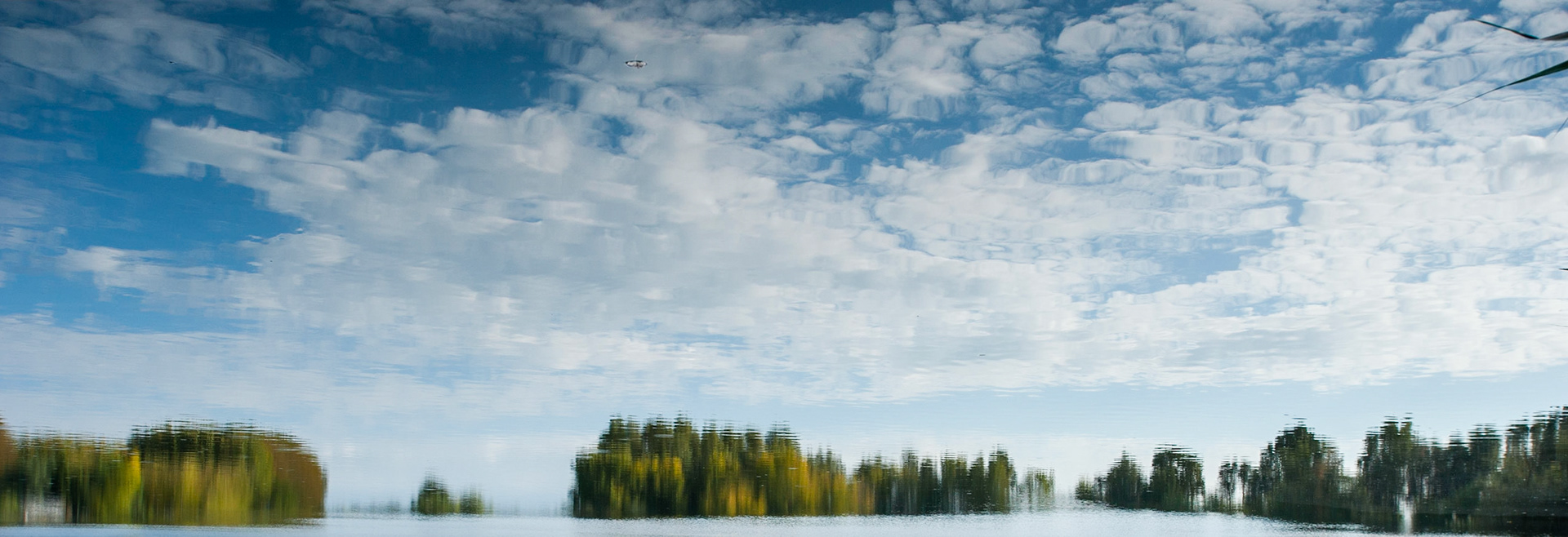 Relections of willows and clouds