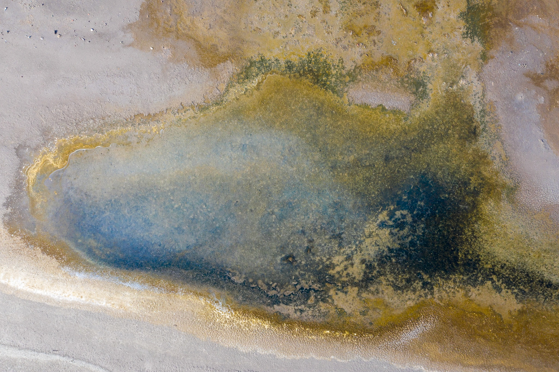 Salt marsh