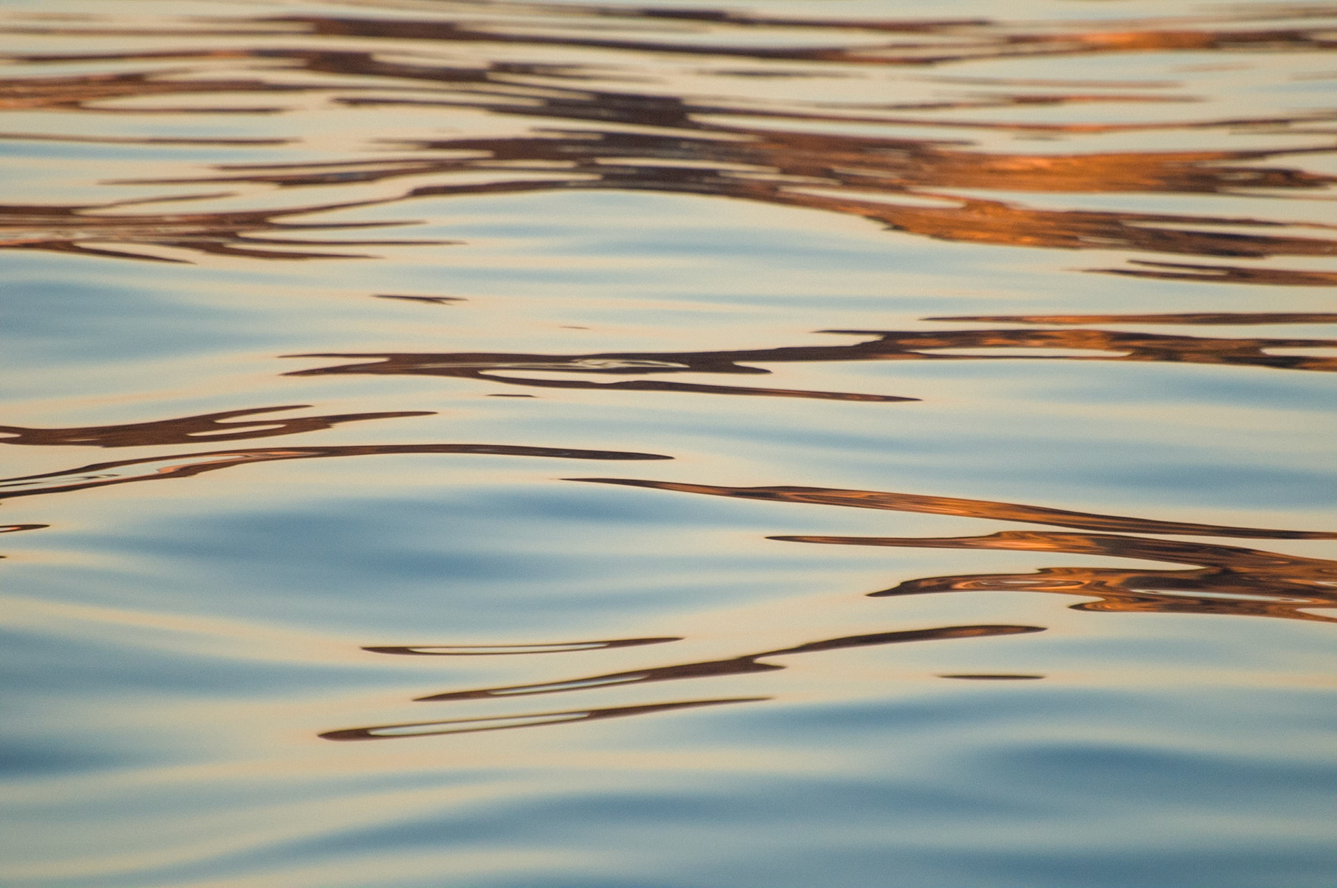 Golden sea surface