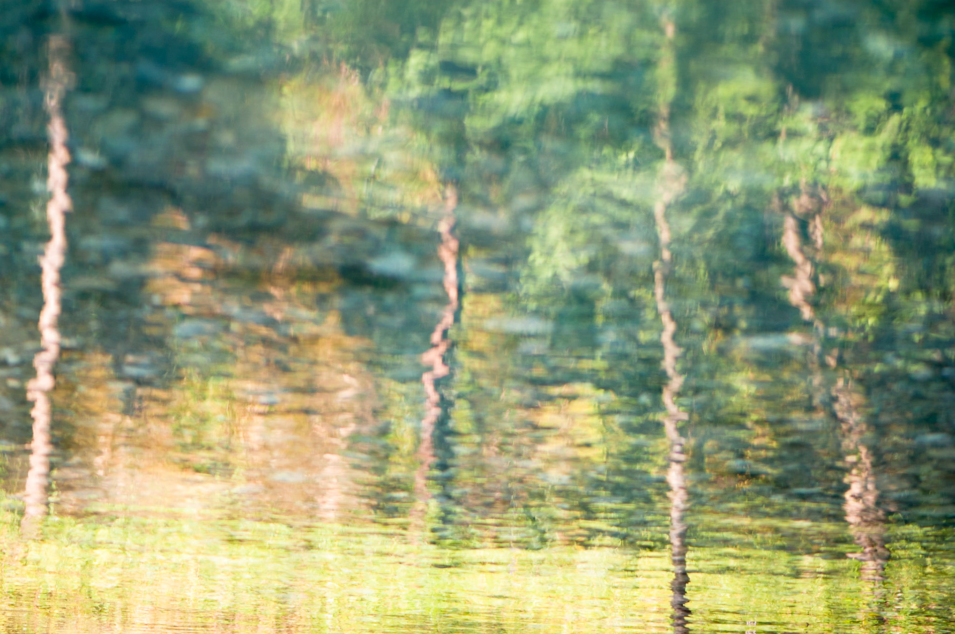 Reflection of truks