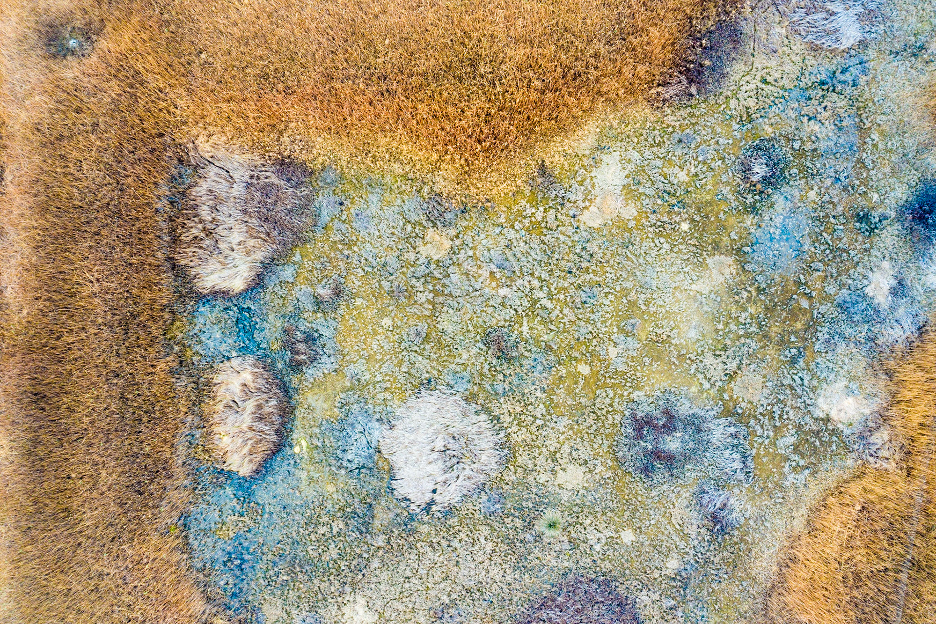 Salt marsh