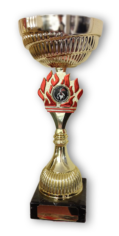 Cup - Flame