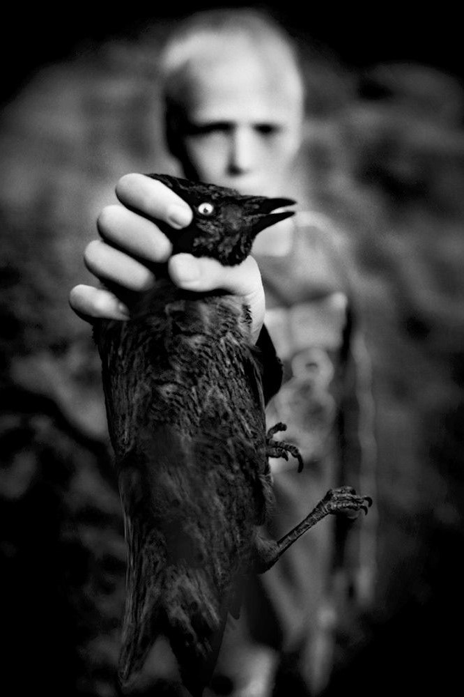 © William Ropp
