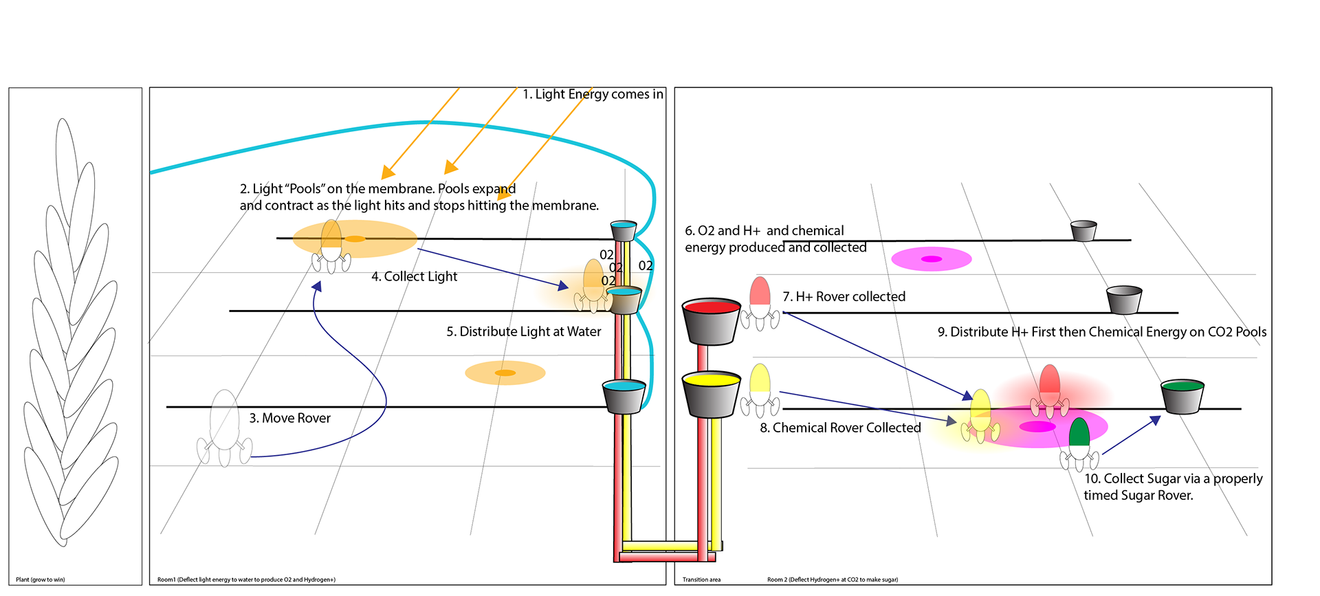 Game Design Wireframes for Photosynthesis Game