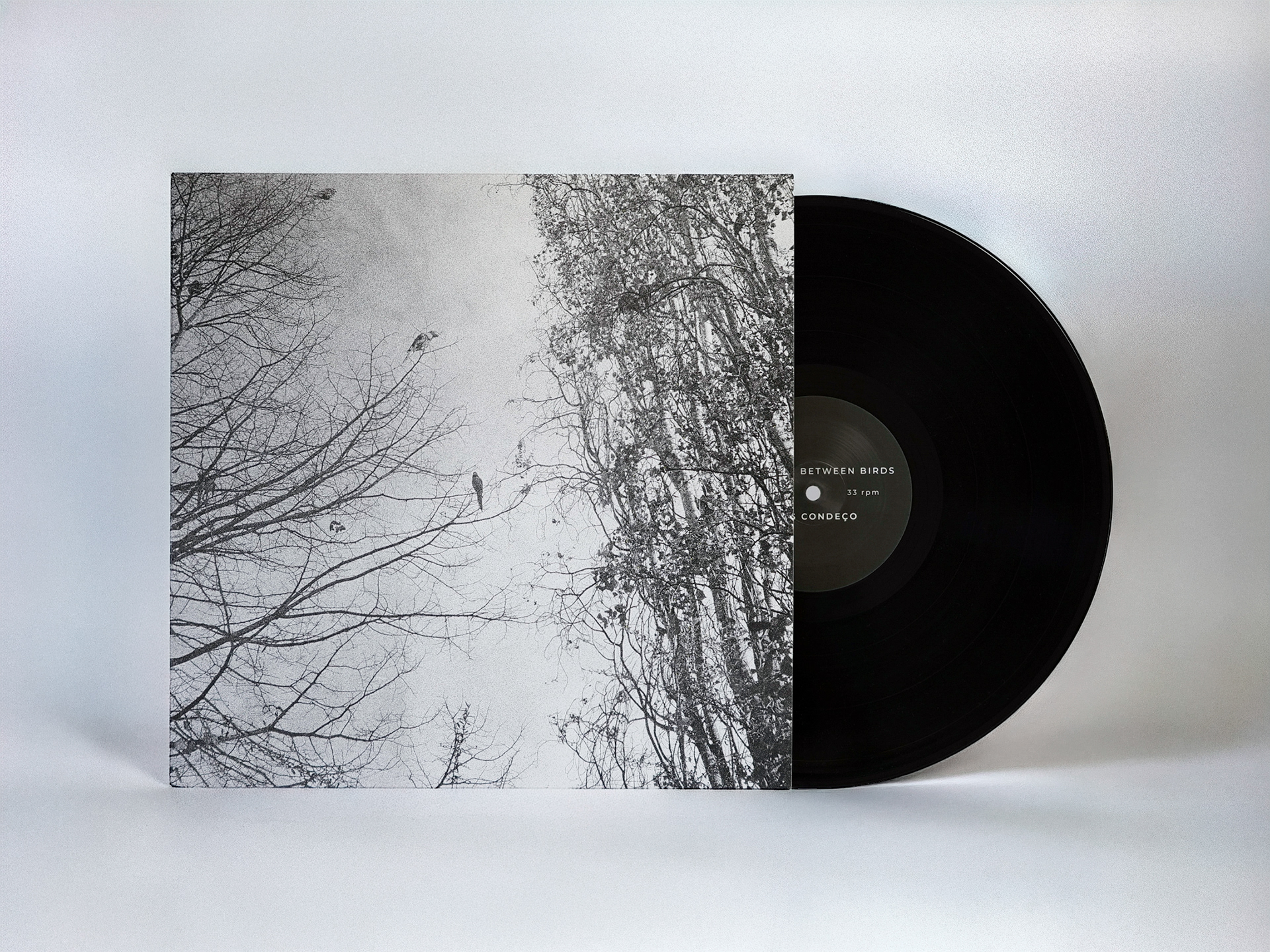 The Space Between Birds - Inês Condeço album