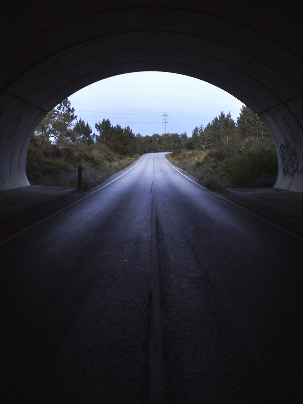 Gloria way (2022)