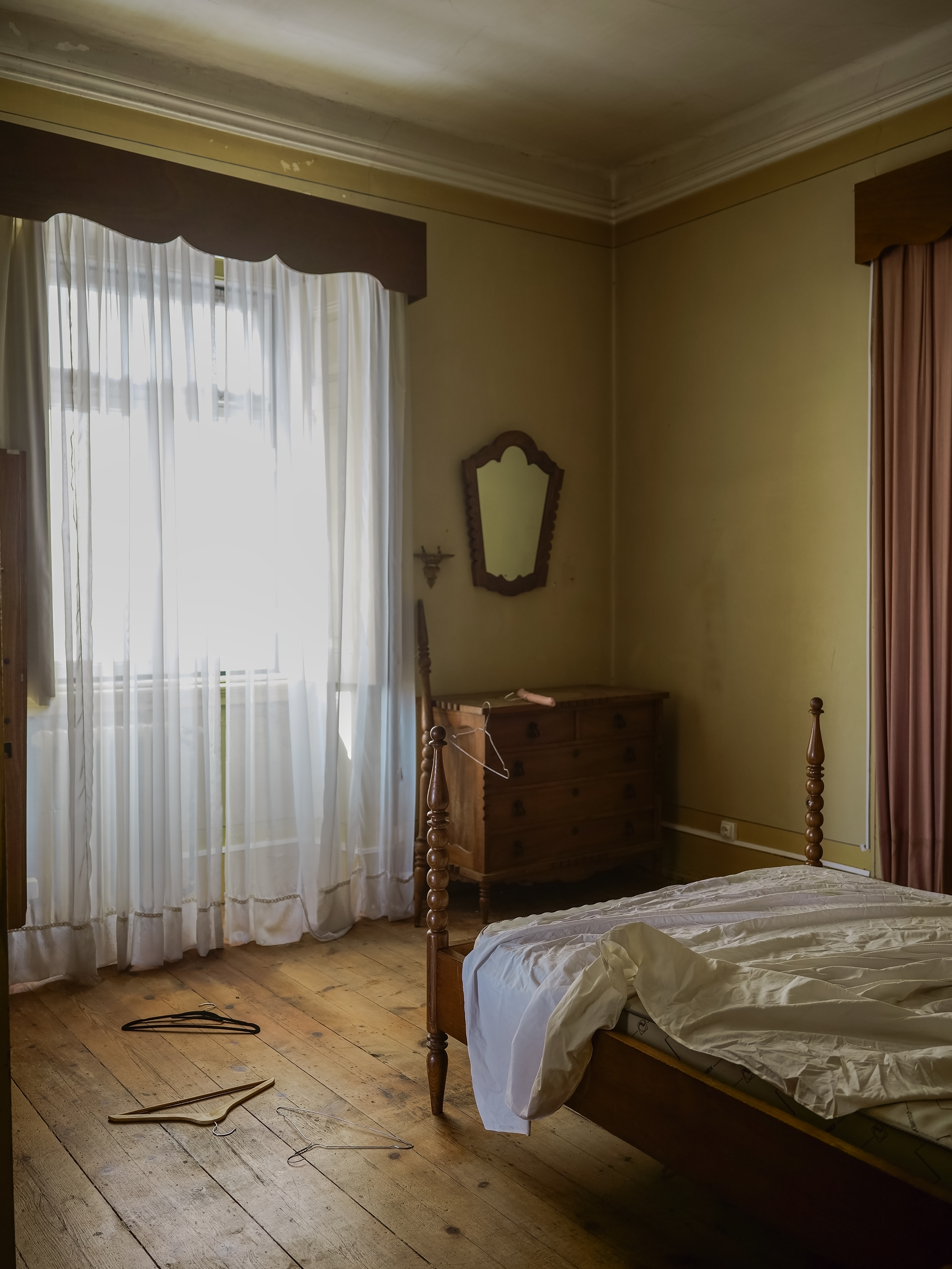 Colunex (2025); 60 x 45 cm